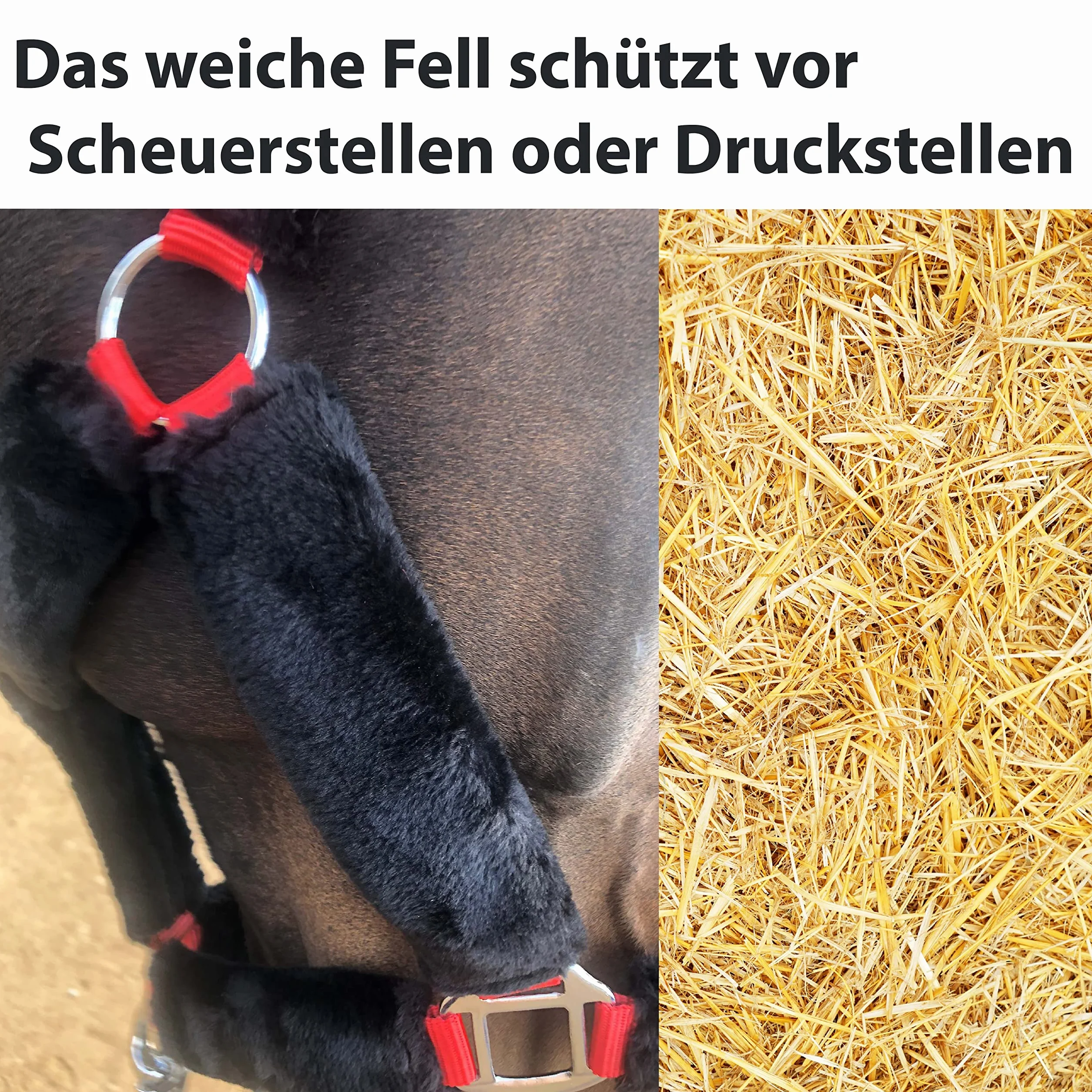 Linee per cavalli Capezza per cavallo e corda Capezza in pelliccia con corda in piombo Gancio antipanico per cavallo Capezza per pony, pannocchia, sangue caldo, sangue freddo (sangue freddo (X-Full))