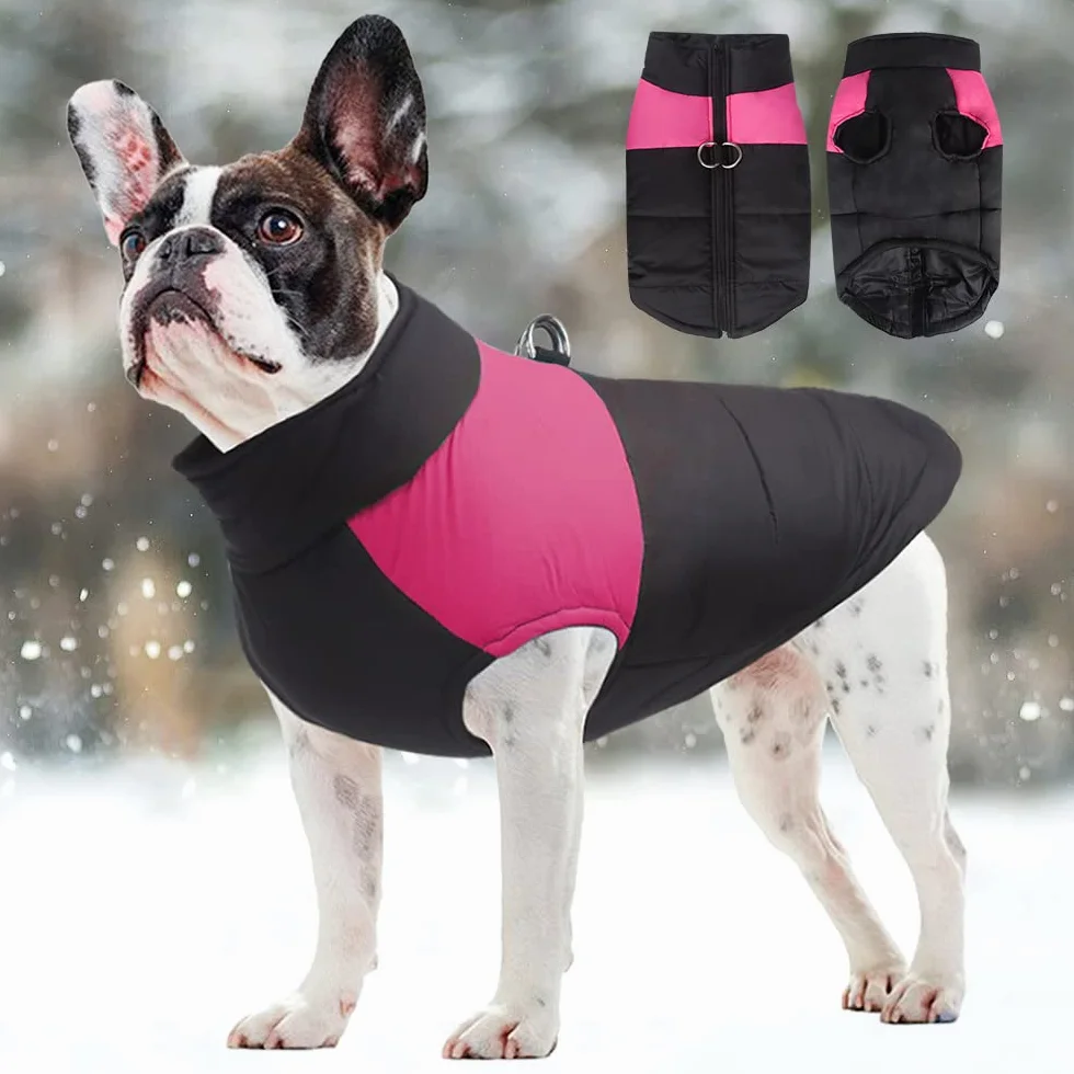 FEimaX Cappotto Cani Impermeabile Invernale Giacca Calda Antivento Cucciolo Vestiti per Cane e Gatto Taglia Piccola Media Grande Gilet Morbido Cotone