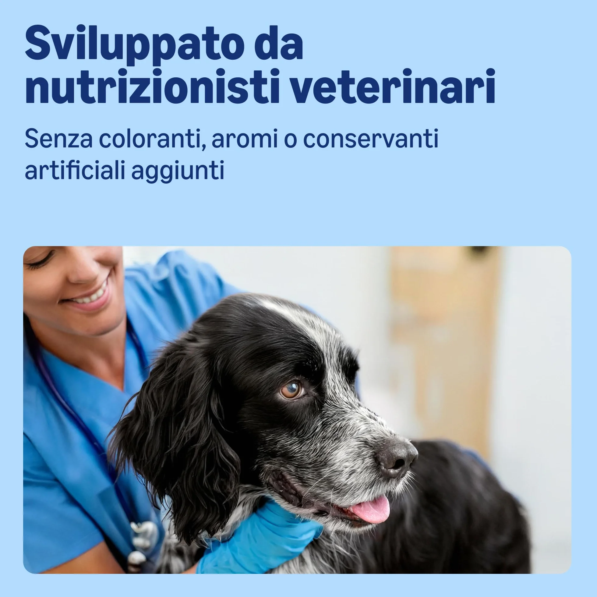 Cibo Umido per Cani by Amazon, Paté di Manzo, 300g, Confezione da 10