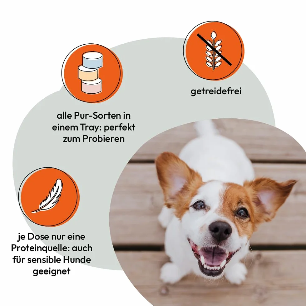 Grau - Mangime umido per cani -Menù misto Puro(GRAU) Generation Pet, confezione (6 x 200 g)