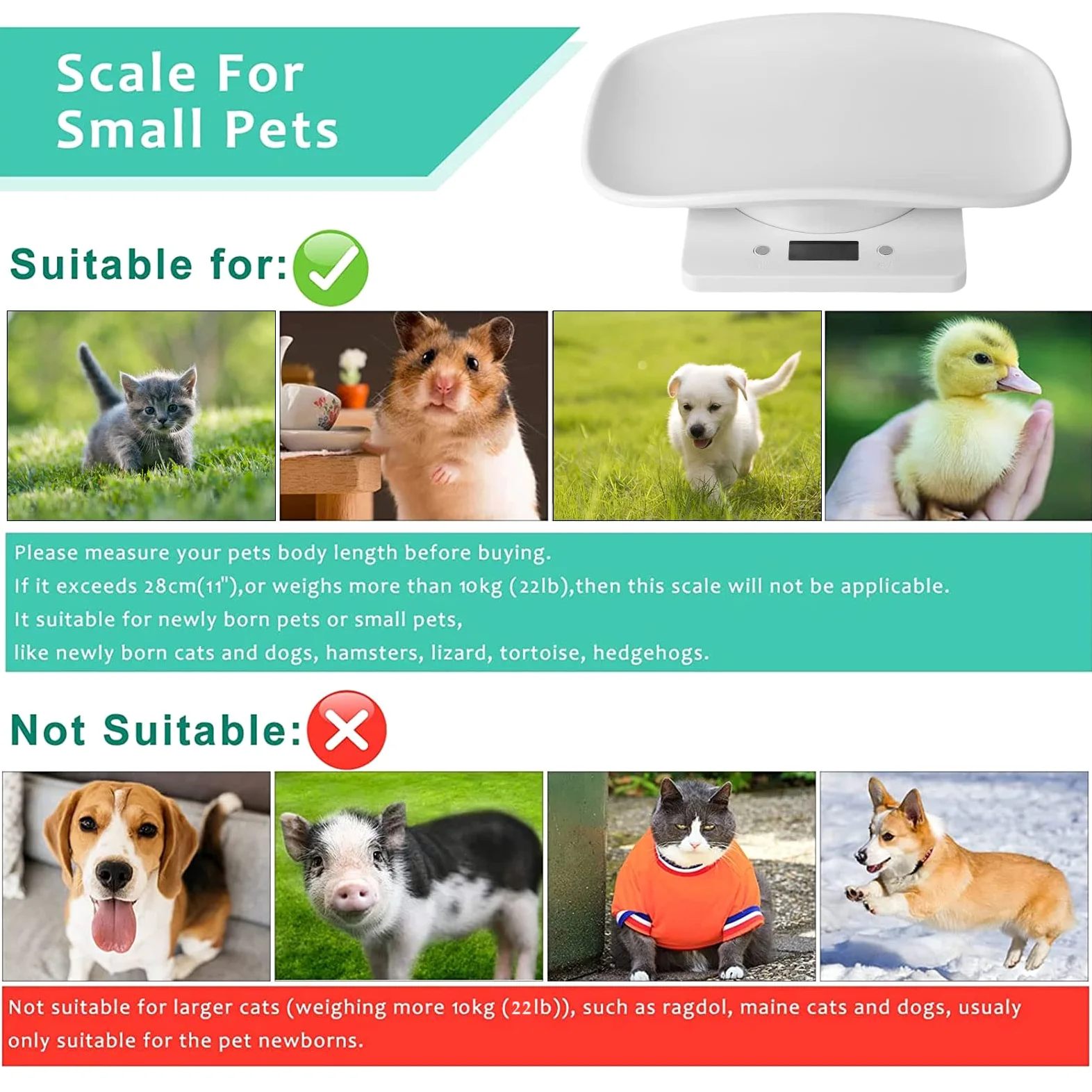 Bilancia digitale per piccoli animali con metro a nastro, bilancia elettronica multifunzione per cuccioli di cane gattino, coniglio ad alta precisione, bilancia elettronica multifunzione per cani di