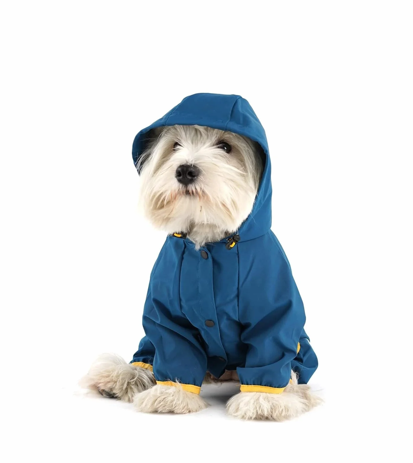 Impermeabile per Cani con Cappuccio all-Inclusive Mantella Antipioggia Impermeabile A Quattro Zampe Vestiti per Animali Domestici Vestiti per Cuccioli (Color : Steelblue, Size : M)