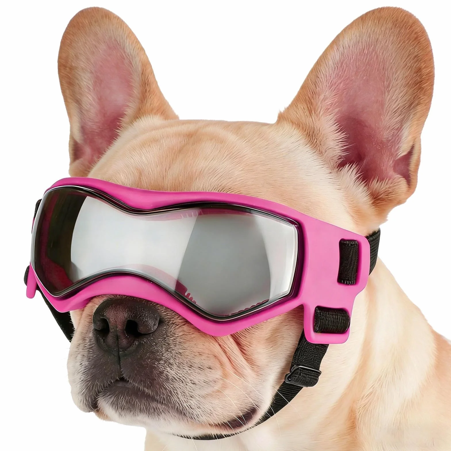 Occhiali da Sole per Cani di Taglia Piccola,Protezione Oculare Antivento Per Cuccioli Con Cinturino Regolabile | Occhiali da Sole per Cani Piccoli,Per Passeggiate Corsa Escursionismo Viaggio In Auto E