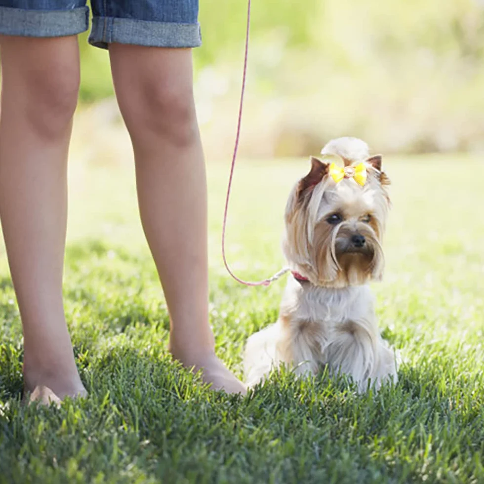 50 Pezzi Fiocchi per Capelli di Cani,Fiocchi per Cani con Elastici in Gomma,Fiocco Peli di Cane per Capelli Lunghi,Motivo Casuale