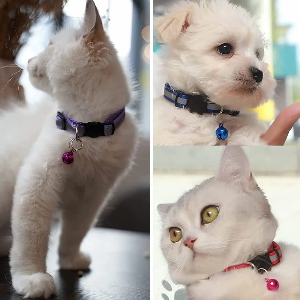 Collare per Gatto Riflettente con Campanella, Sicuro, Nylon, Colori Misti, Collare per Animale Domestico, Collare Rimovibile per Gatto (12)