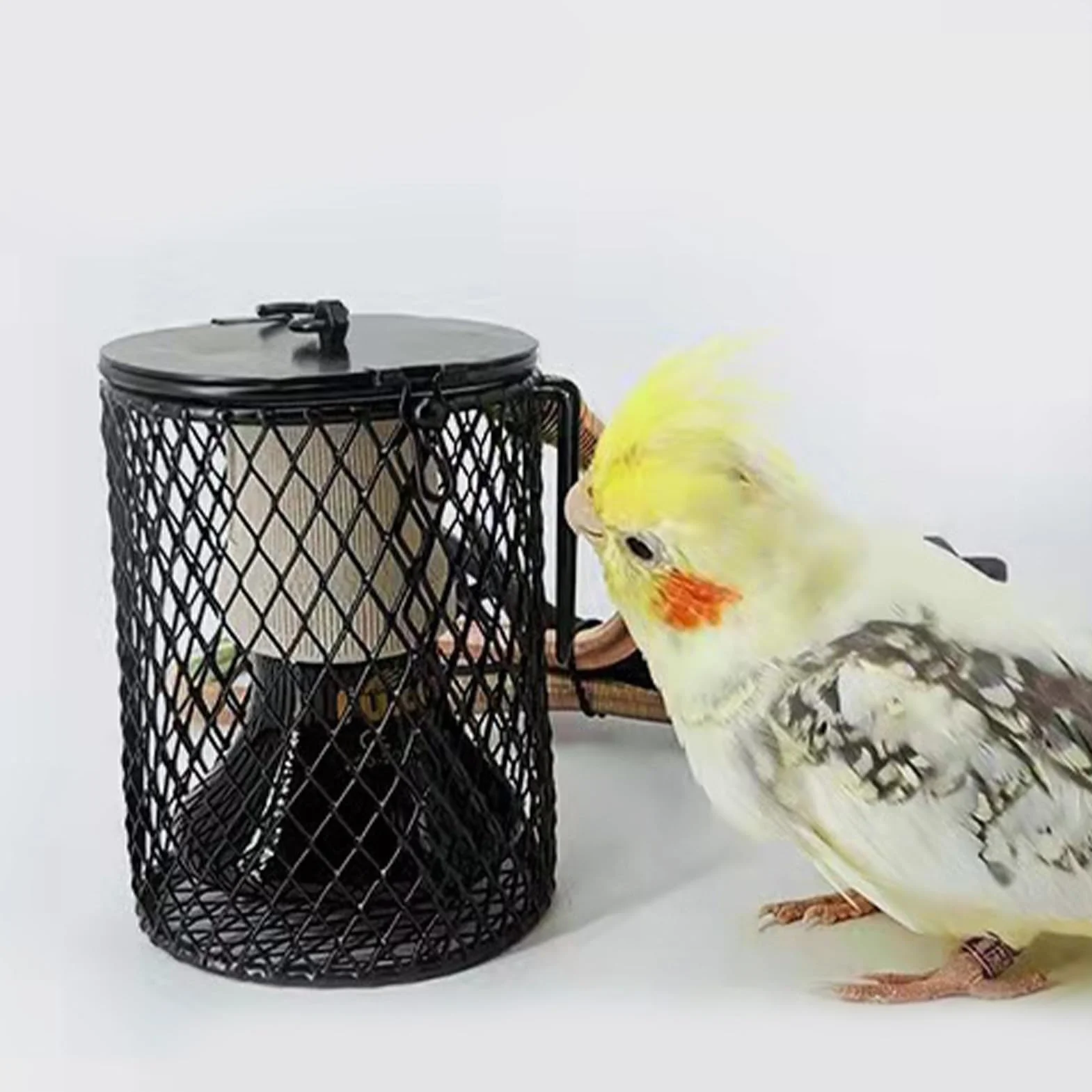 Gabbia Per Lampade Riscaldanti Supporto Lampada Termica Copertura Protettiva Terrari Cuccioli Serre Uccelli