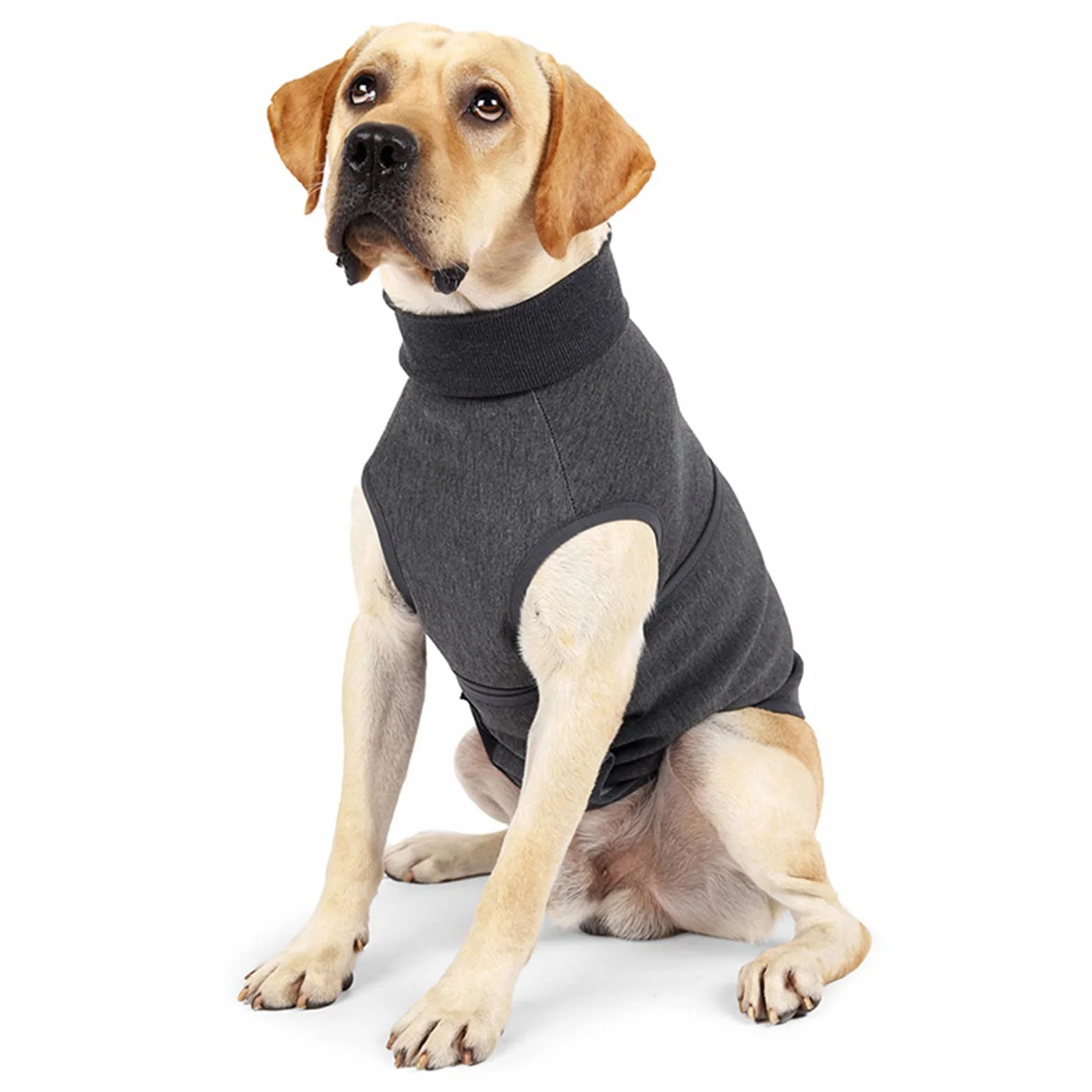 Cane Ansia Gilet Traspirante Morbido Cappotto Calmante Per Cani Piccole Medie Grandi