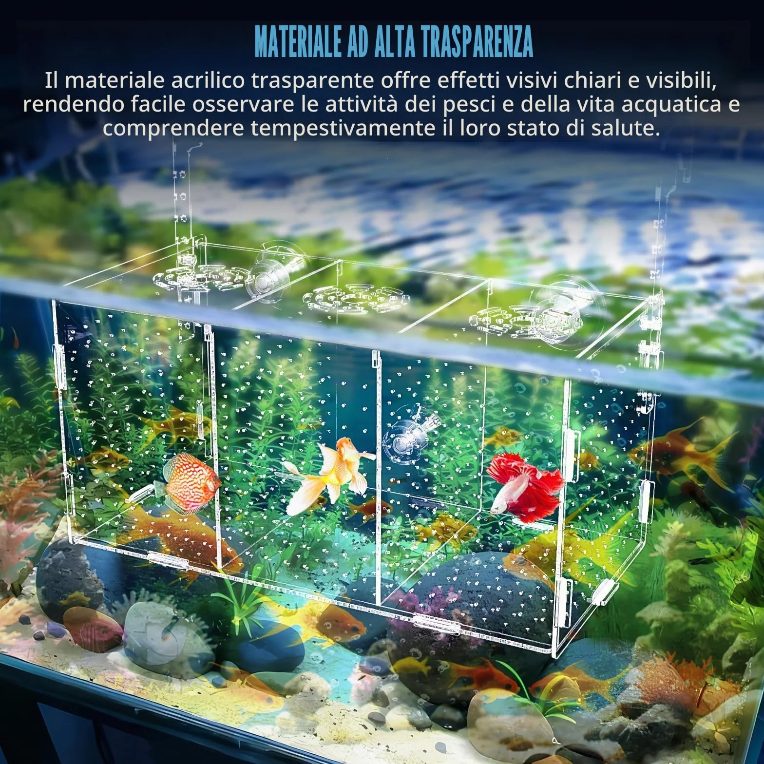 Scatola di Allevamento di Pesci d'Acquario, Scatola di Isolamento per Allevamento di Acquario Trasparente in Acrilico Incubatrice Pensili con Ventose per Neonati Gamberetti, 30x15x15 cm