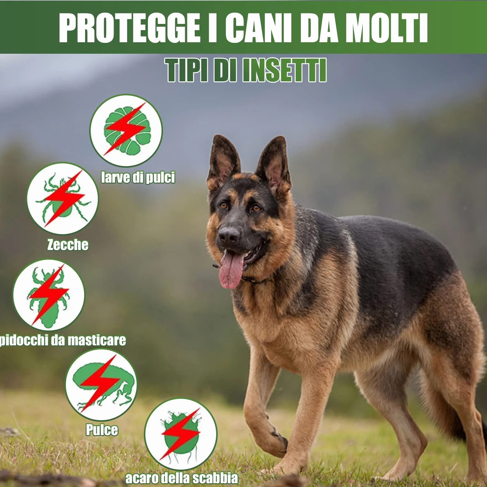 Collare Antipulci e Zecche Regolabile Impermeabile 63cm per Cani 8 Mesi Protezione