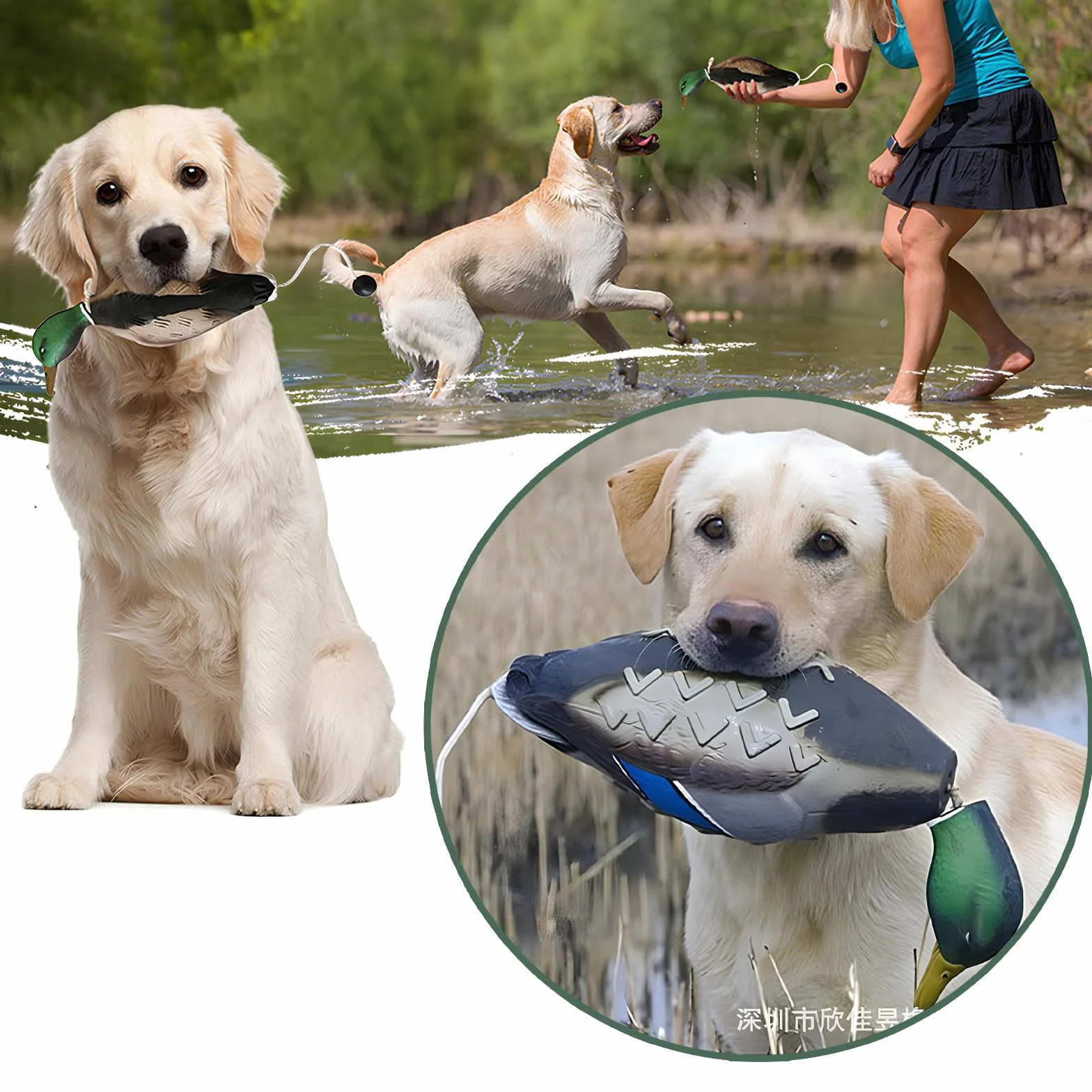 Anatra Giocattolo per Addestramento Cani, Dummy per Cani, Giocattolo Accessori per Cane da Caccia, Accessori per Cani da Caccia per L'addestramento delle Abilità dei Cani da Caccia Retriever