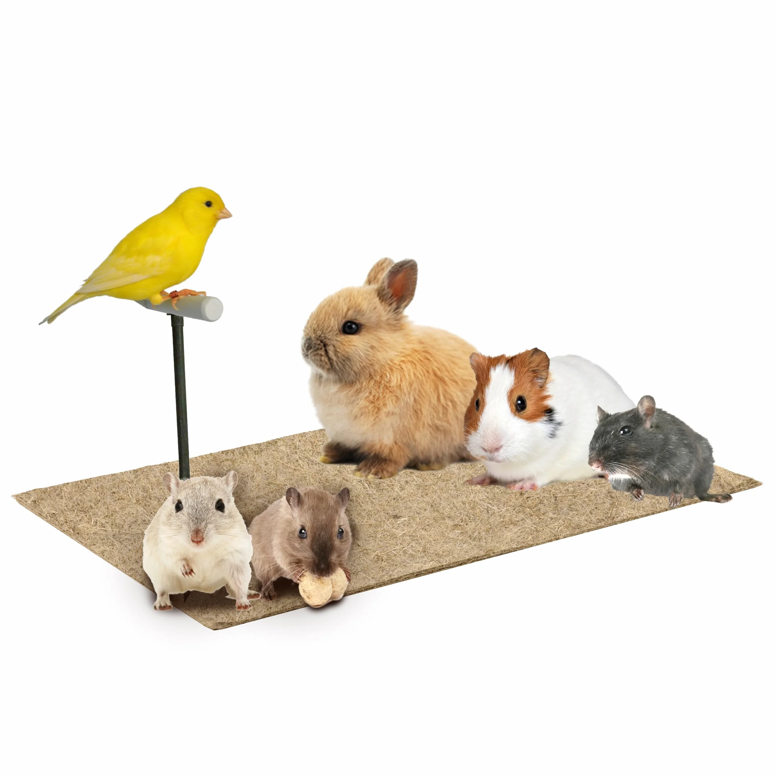 La Cordeline Set di 6 tappeti lettiera canapa naturale, 25 x 40 cm, 1000 g/m², fondo gabbia per roditori, conigli, criceti, ecc