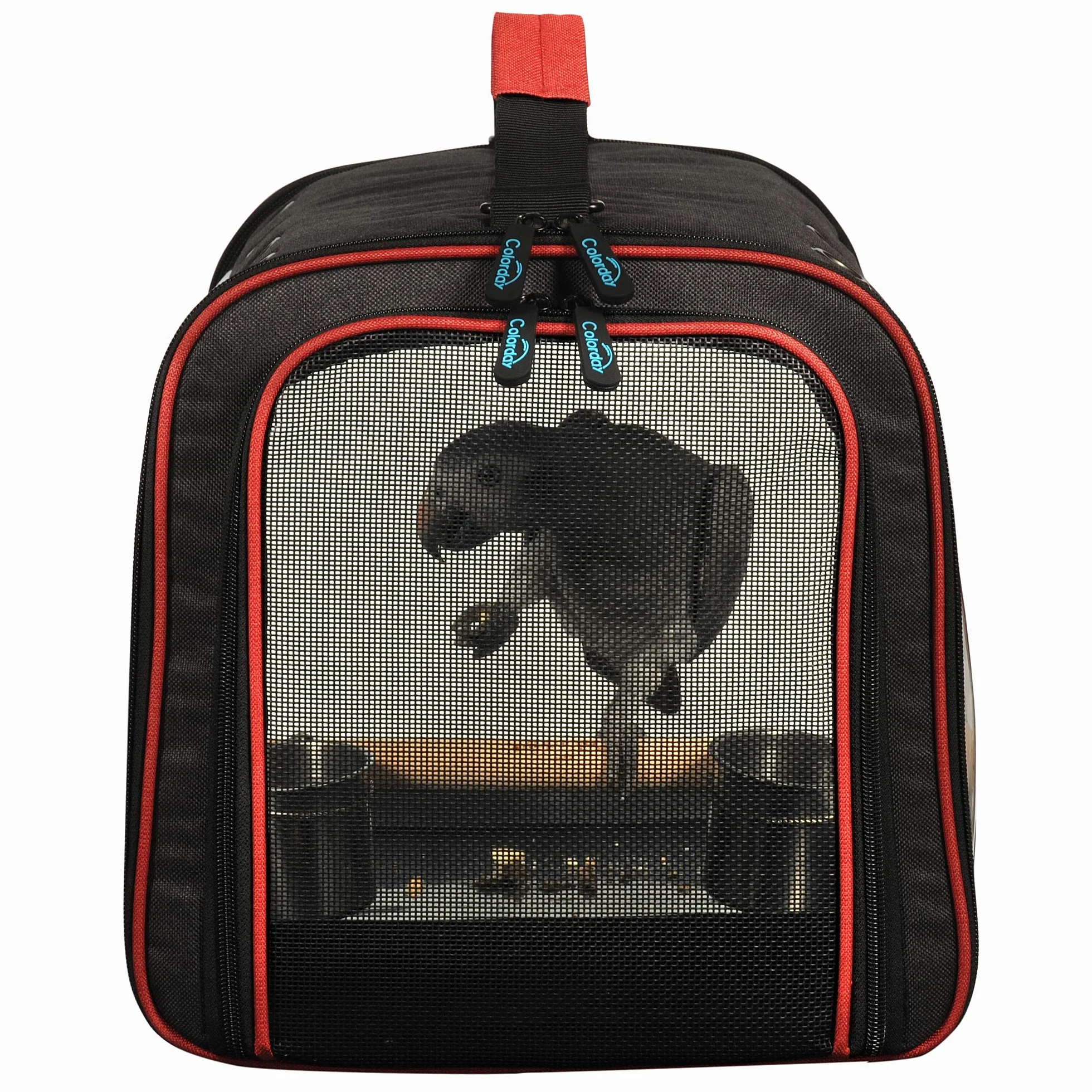 Colorday Gabbia per uccelli leggera da viaggio per uccelli (grande 19 x 12 x 13, nero)