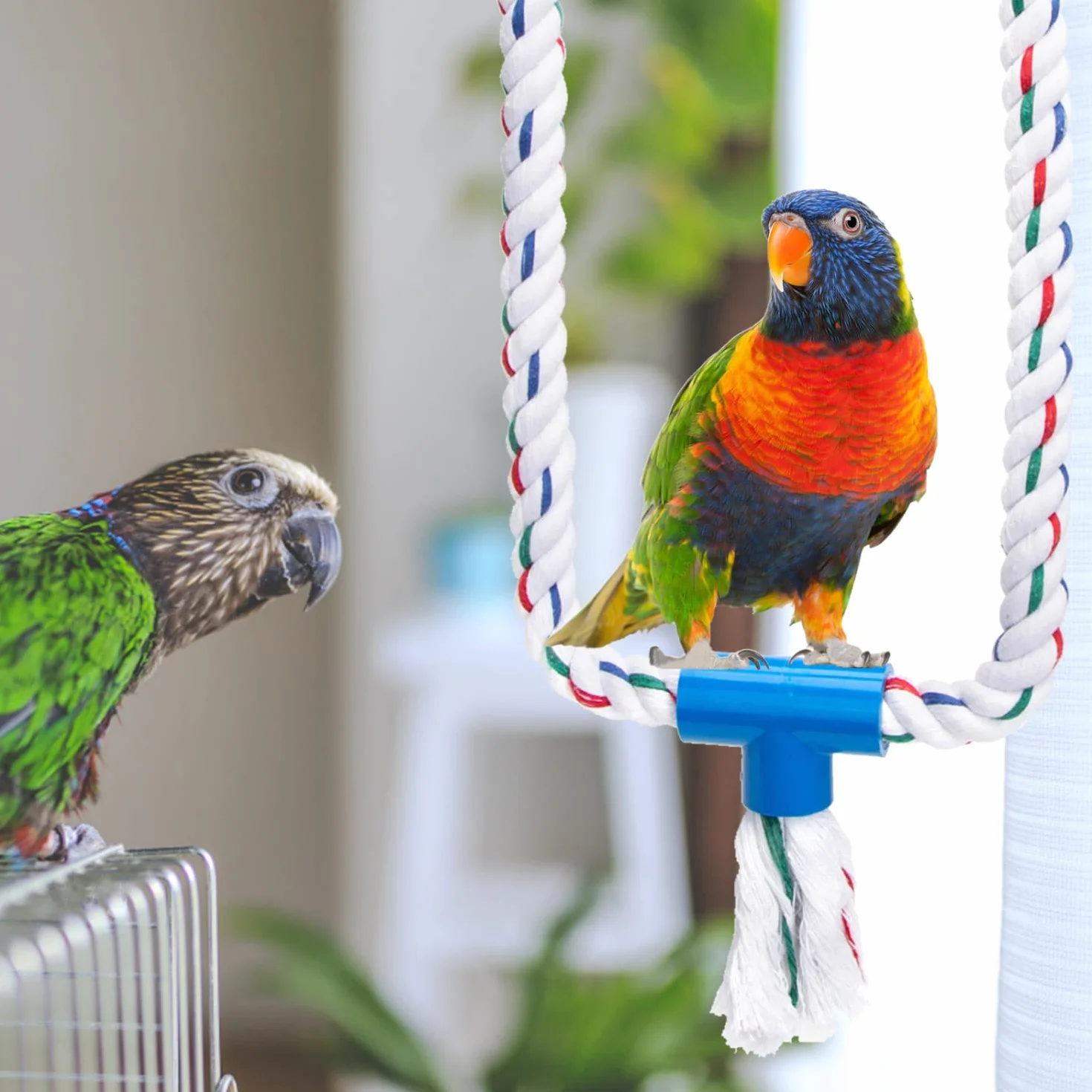 Nobleza Giochi per Uccelli Corda del Cotone Altalene per Pappagalli Gabbia Giocattoli
