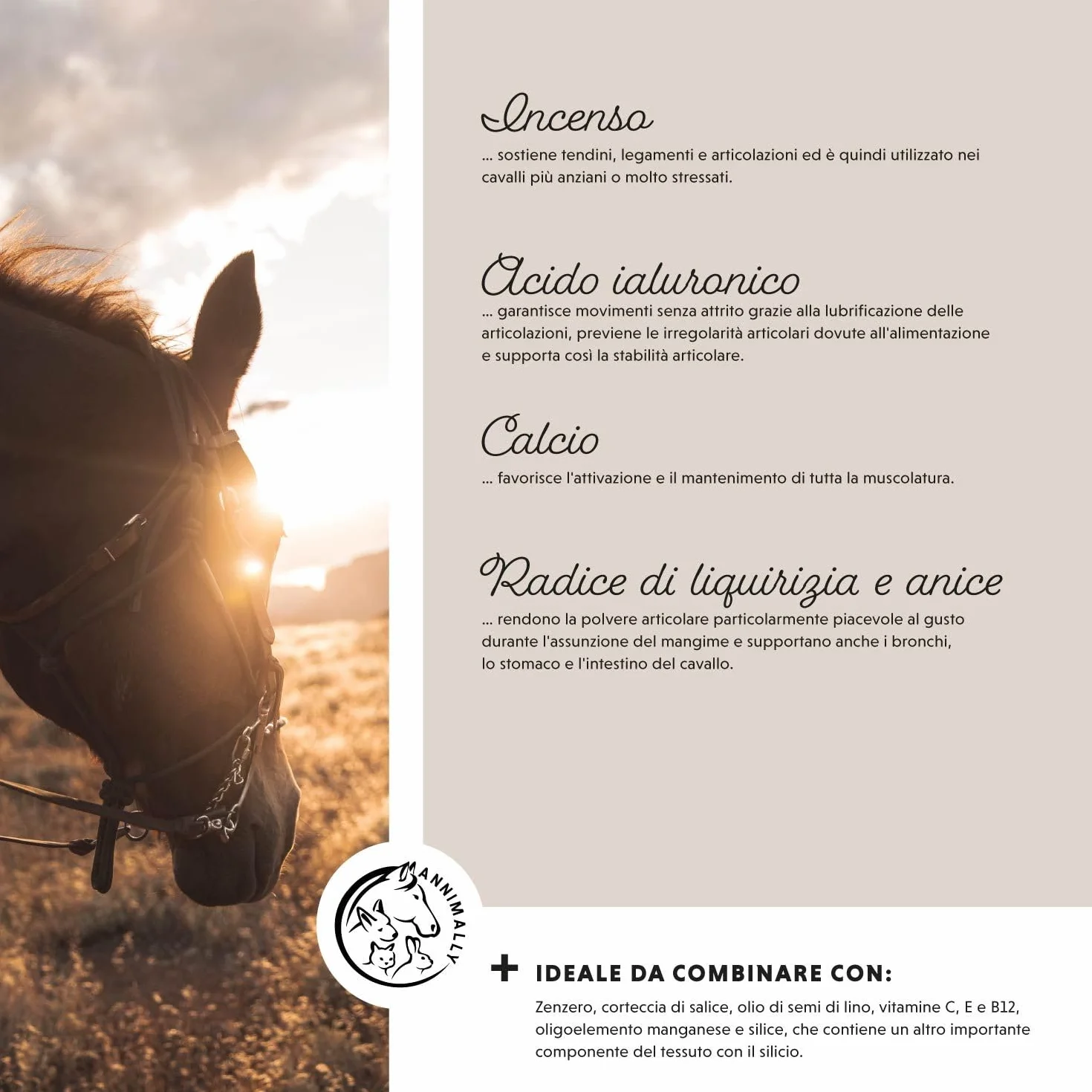 Polvere per le articolazioni dei cavalli 850g con artiglio del diavolo cavallo, MSM cavallo (Zolfo), Glucosamina e Condroitina - Msm integratore cavalli per il Rafforzamento delle Articolazi