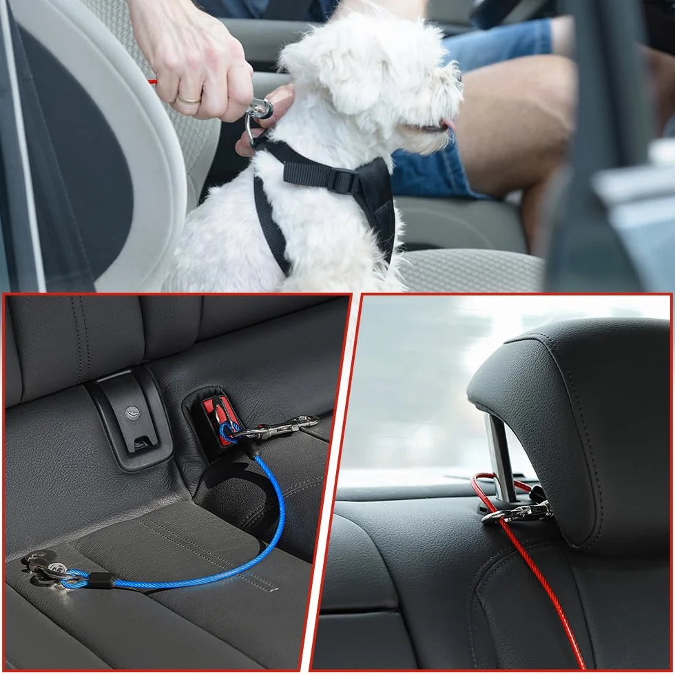 2 Pezzi Guinzaglio per Cani Prova di Masticare, 40 cm Cintura di Sicurezza per Cani Auto, Cavo per Legare Il Cane, Guinzaglio Retriever Resistente per Cuccioli, Cane di Piccola e Media Taglia