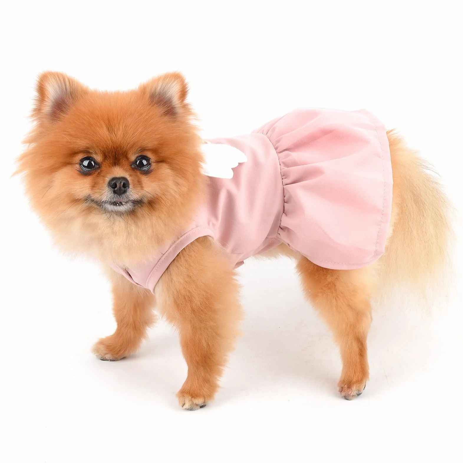 Angel Wing vestito per cani con anello a D, gonna per cuccioli, abbigliamento estate, rosa, L