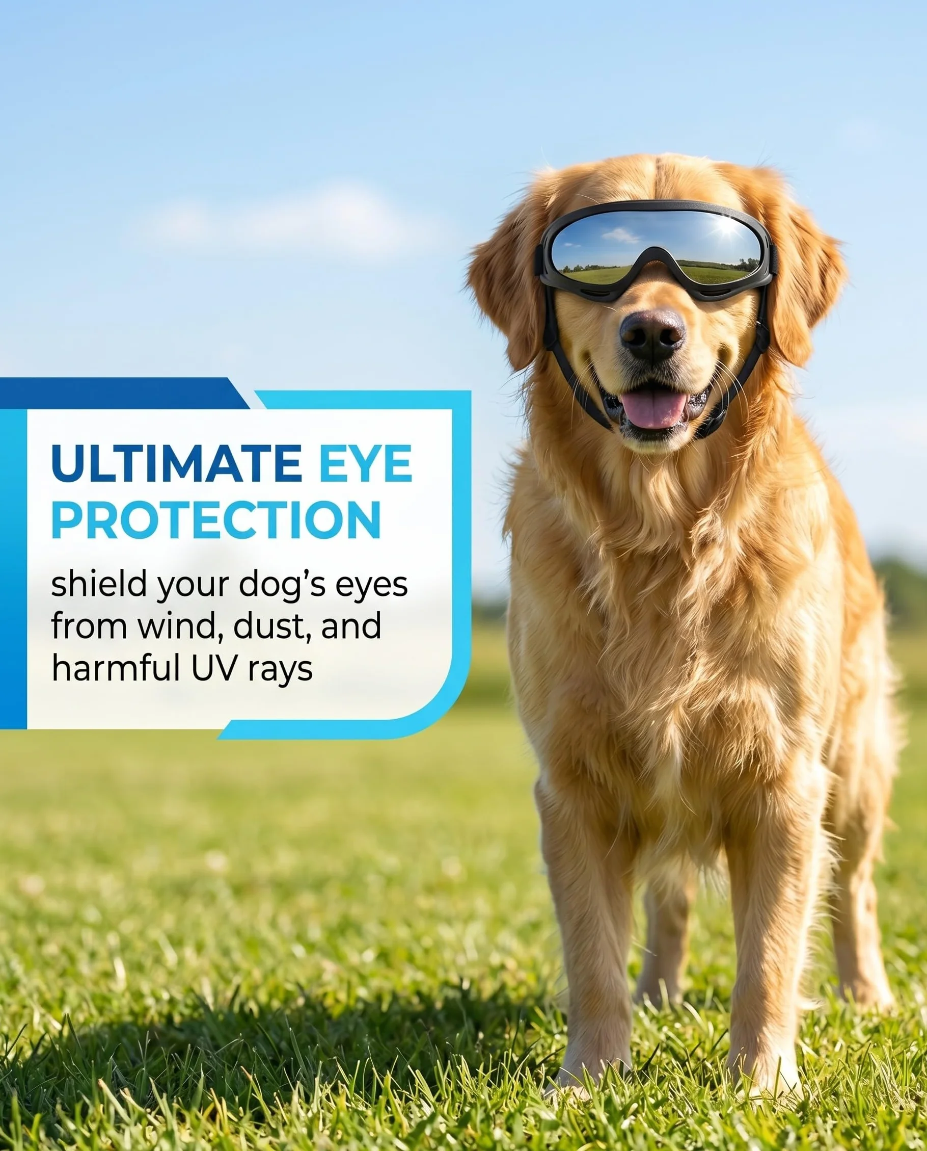 Occhiali per Cani Protezione UV, Occhiali da Sole per Cani Antivento per Cani di Taglia Media e Grande con Cinghie Regolabili, Maschera con Lenti Argentate per Guida Attività all'Aperto