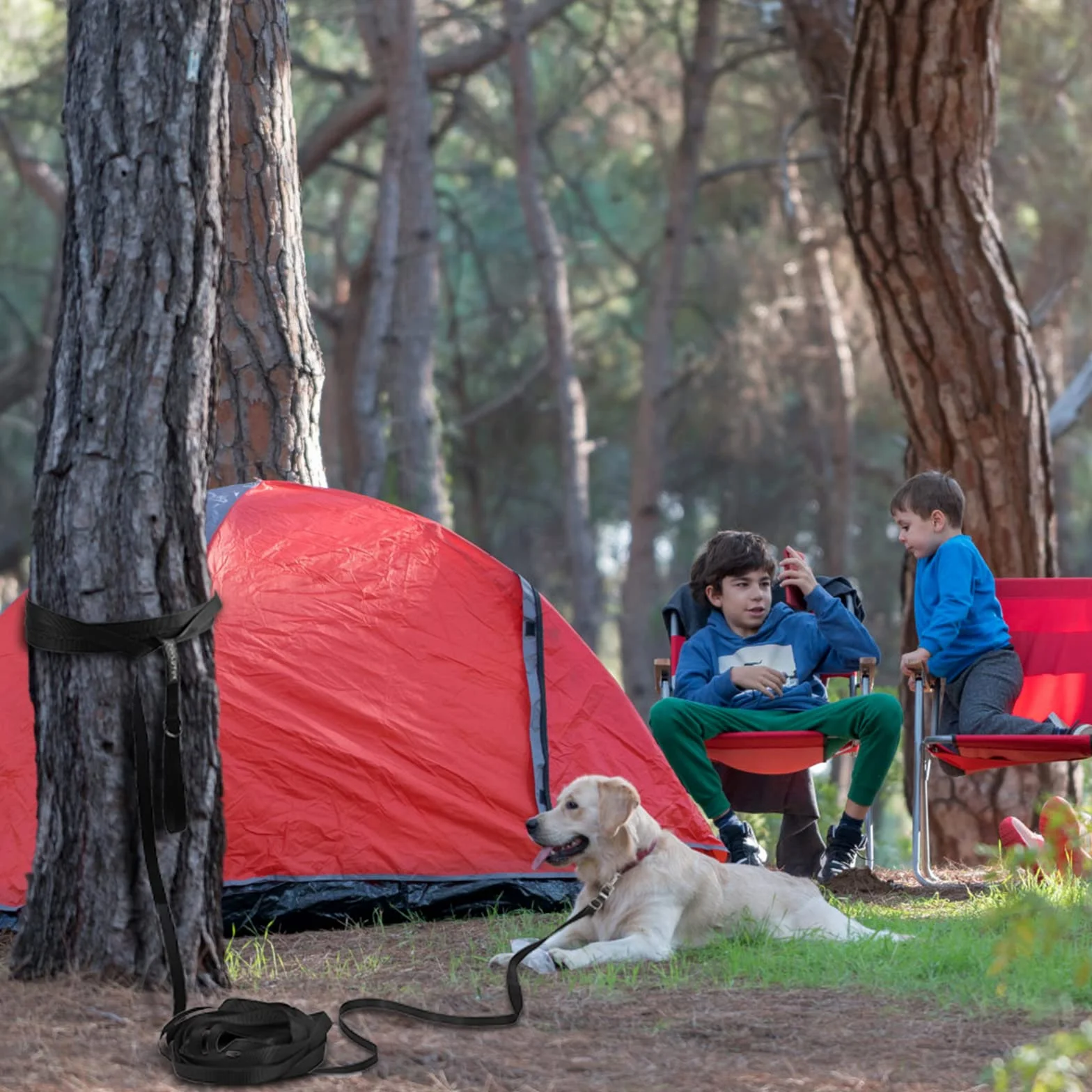 Guinzaglio per Cani, Lunghina per Cane 5 Metri, Guinzaglio Addestramento Regolabile con Impugnatura Imbottita, Ideale per Allenamento, Passeggiate e Attività Outdoor (Nero,5m/16ft)