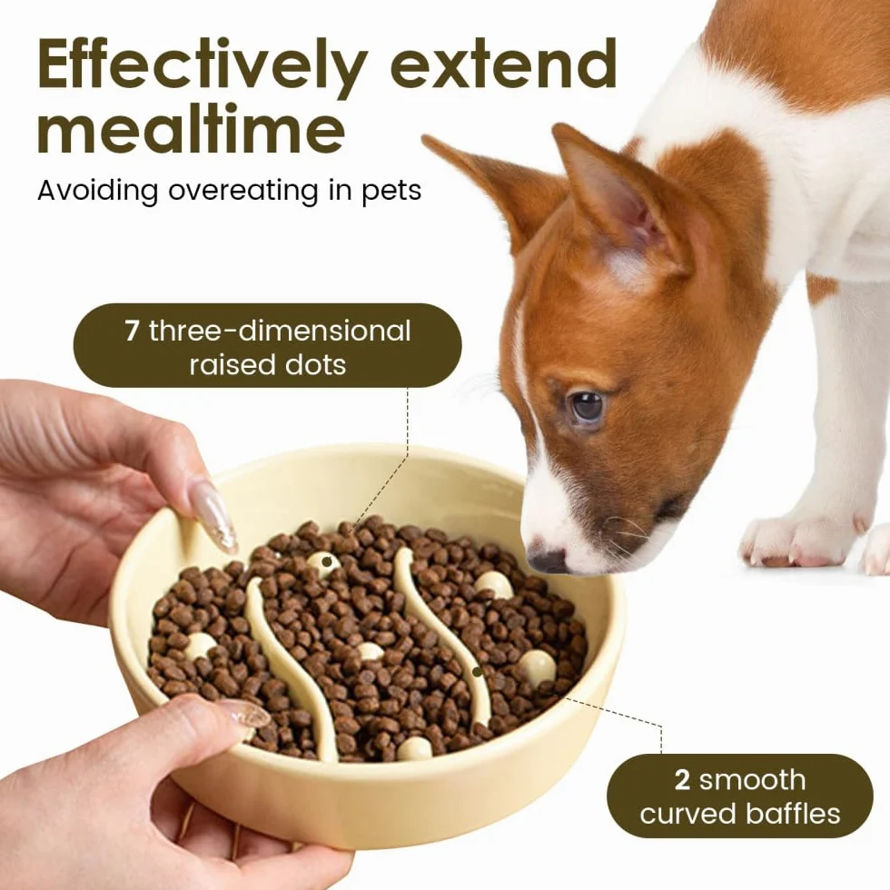 Ciotole Anti Ingozzamento per Cani, Ciotola Gatti in Ceramica con Alimentazione Lenta, Ciotole Cane Antiscivolo, per Animali di Piccola, Media, Taglia
