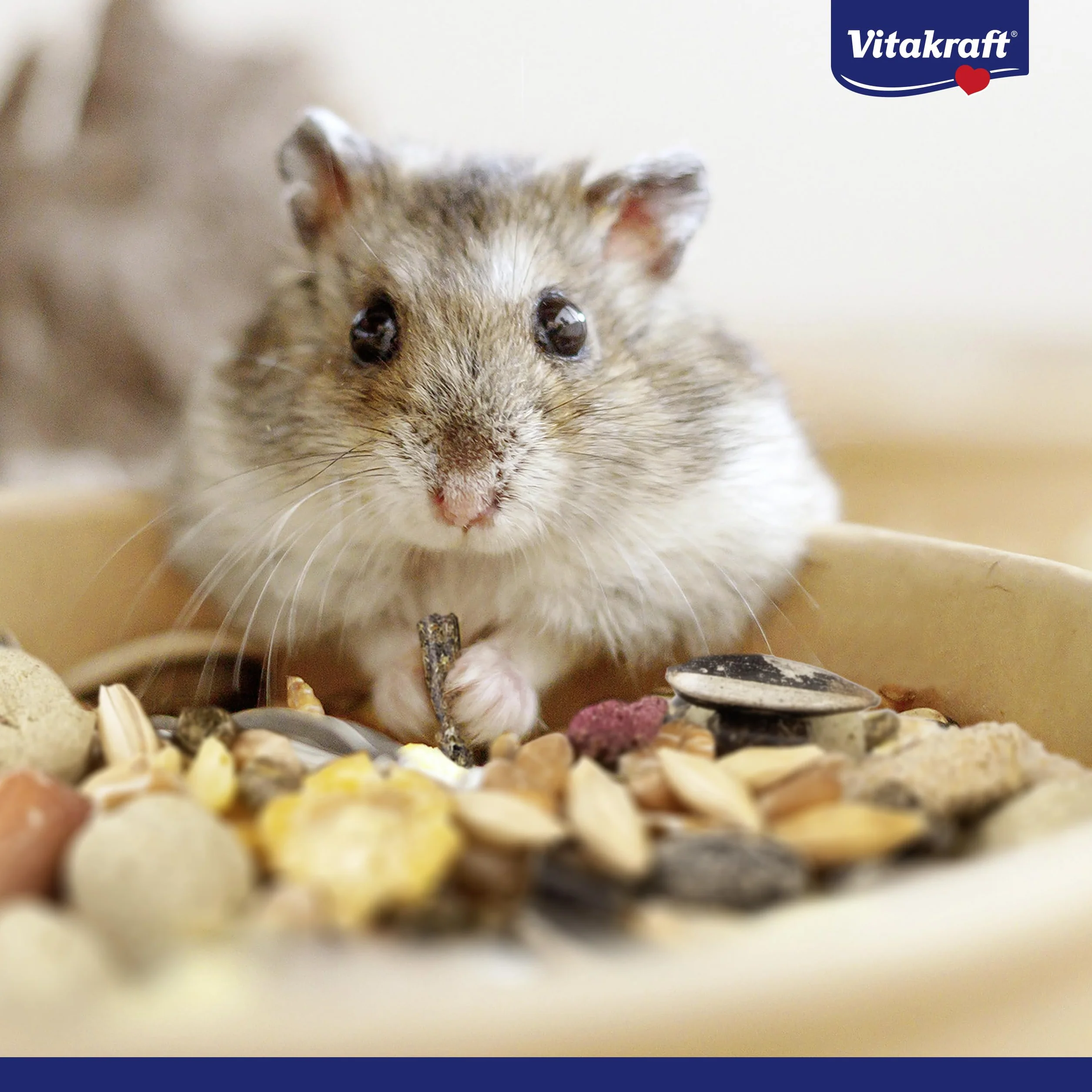 Vitakraft Menu Vital, alimento principale per criceti, con verdura, con noci, con vitamine e minerali essenziali, senza l'aggiunta di zuccheri e cereali (6x 400g)