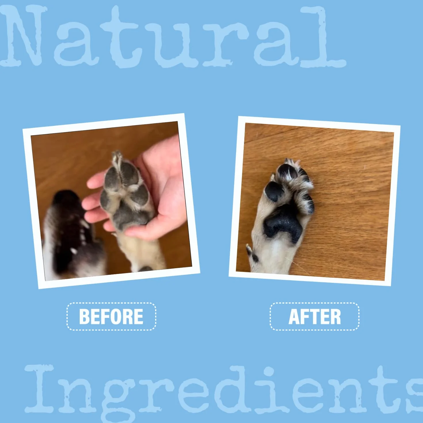 Dog Nose & Paw Balm 100ML Paw Protector Moisturiser for Dry Cracked Pads