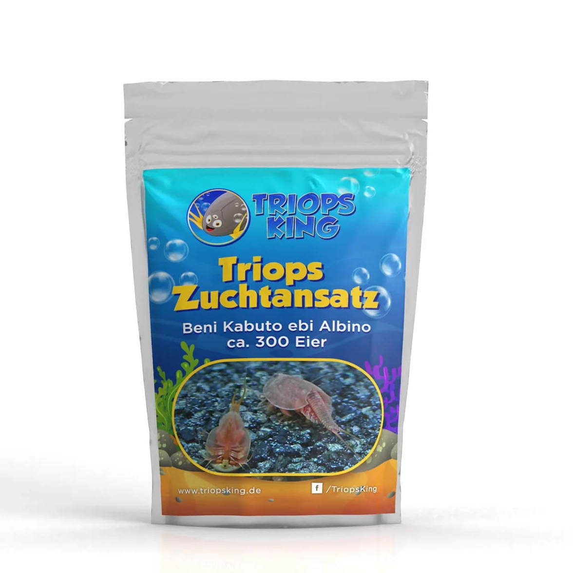 Triops Beni Kabuto EBI Albino Grasso di allevamento 300 uova