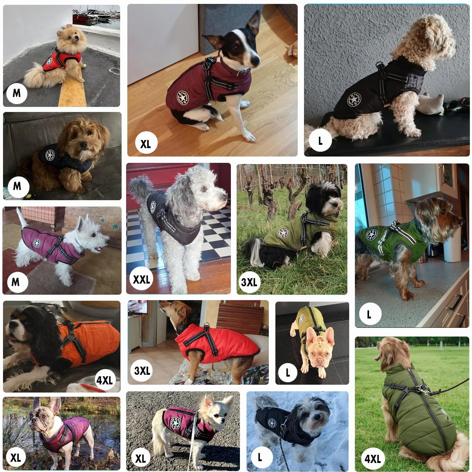Giacche invernali per cani Antivento Impermeabili 2 in 1 Cappotto termico Blu XXL