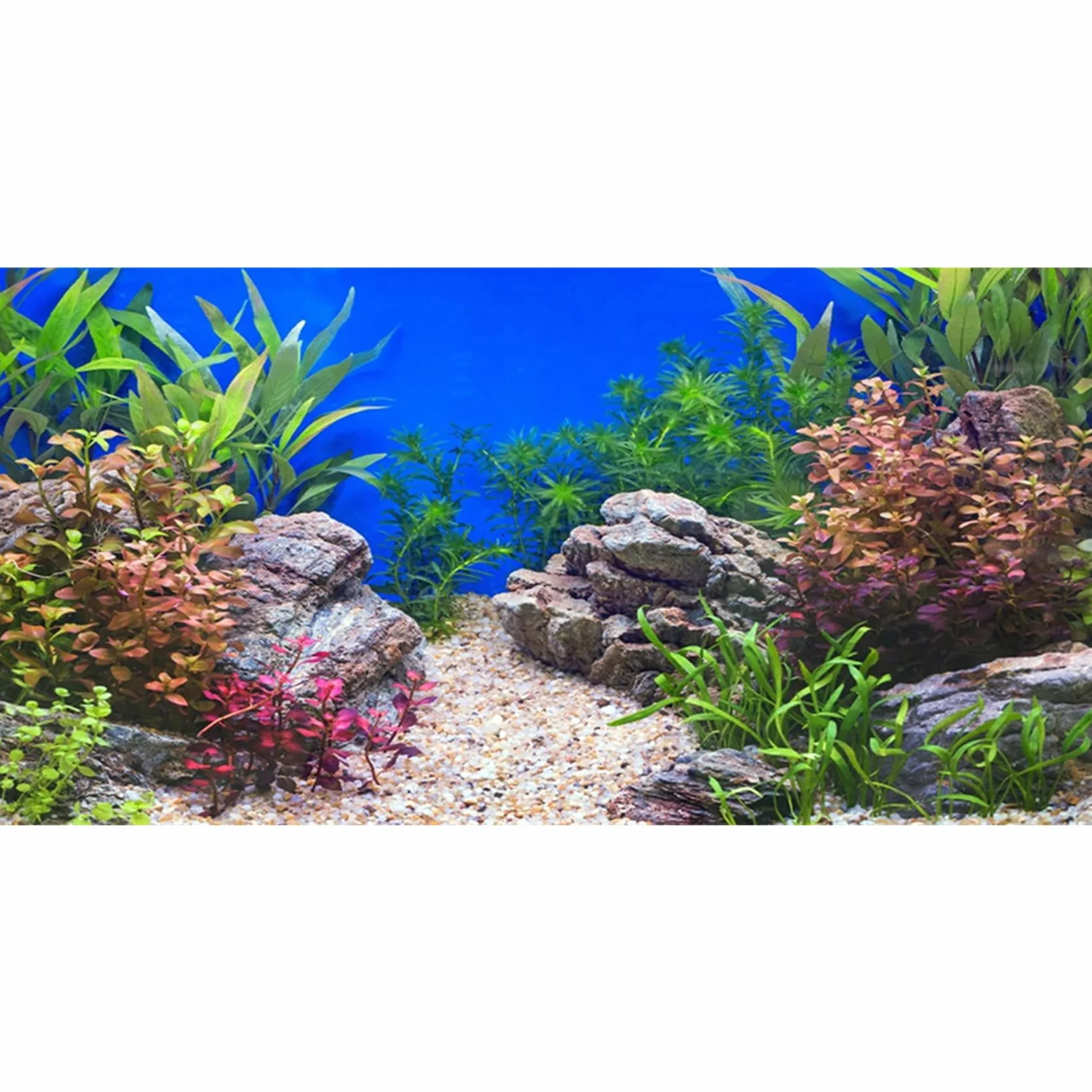 61x30cm Pianta Acquatica Acquario Sfondo Pietra Fiume Letto & Lago Acquario Sfondo Vinile