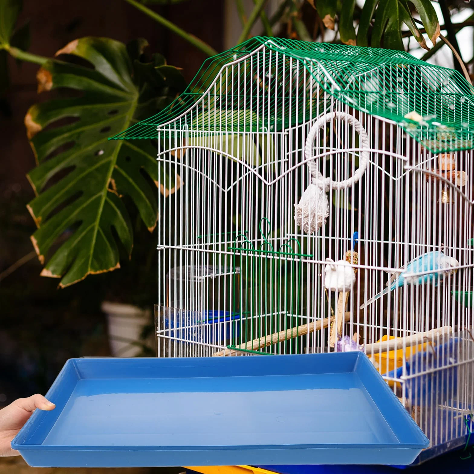 Vassoio per Escrementi in Plastica Bordi Alti 44x29x3 cm per Cani e Conigli
