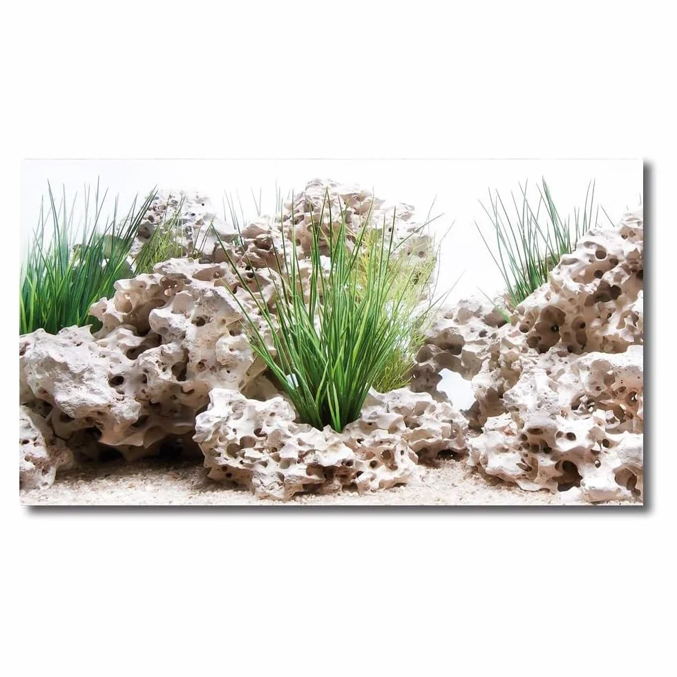 AMTRA WONDER - Sfondo in poster per acquario, decorazione dell'acquario, poster decorativo con doppia stampa, formato 30x60cm
