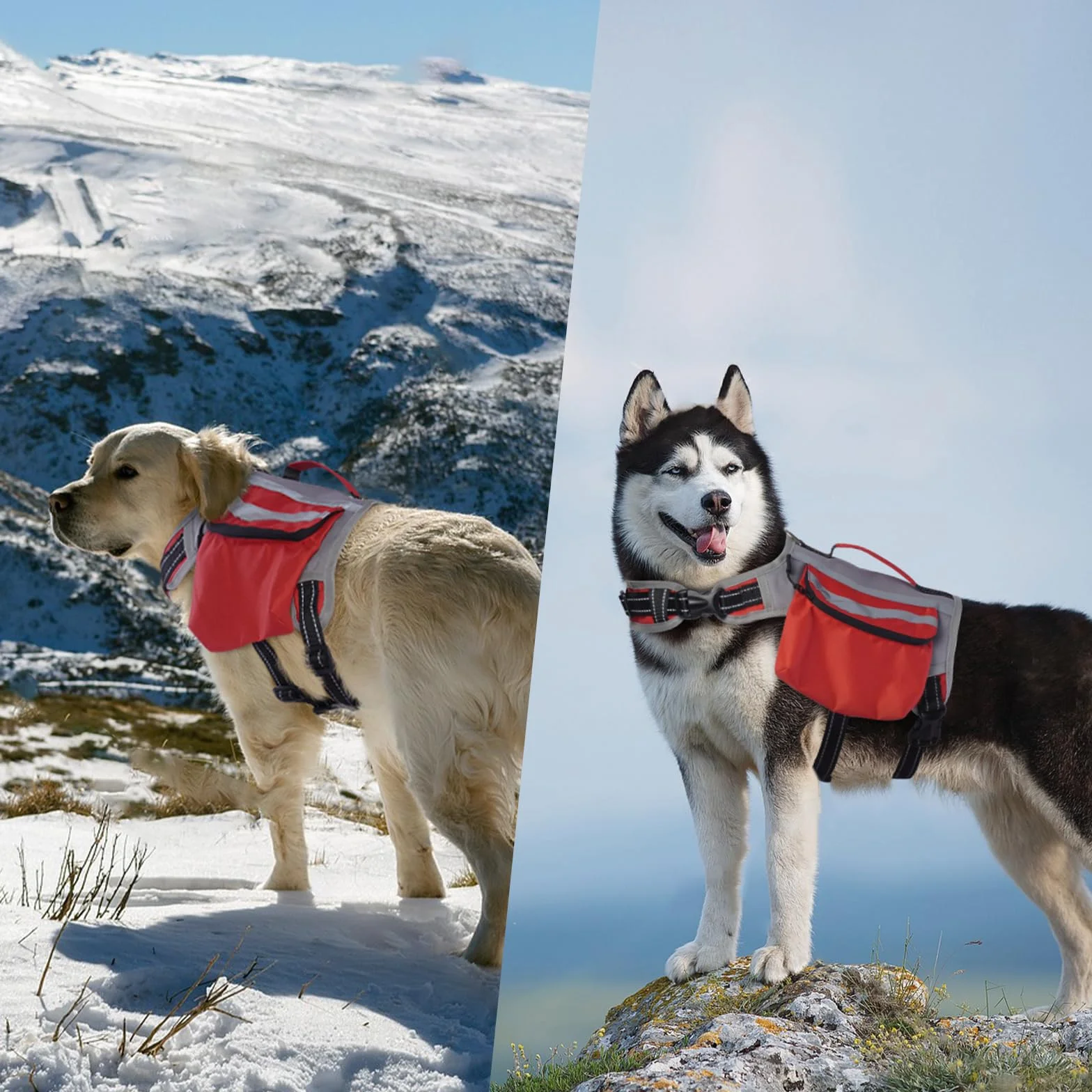 DENTRUN Zaino per cani con tasca laterale e tracolla regolabile, perfetto per viaggi con cani, escursioni e uso quotidiano