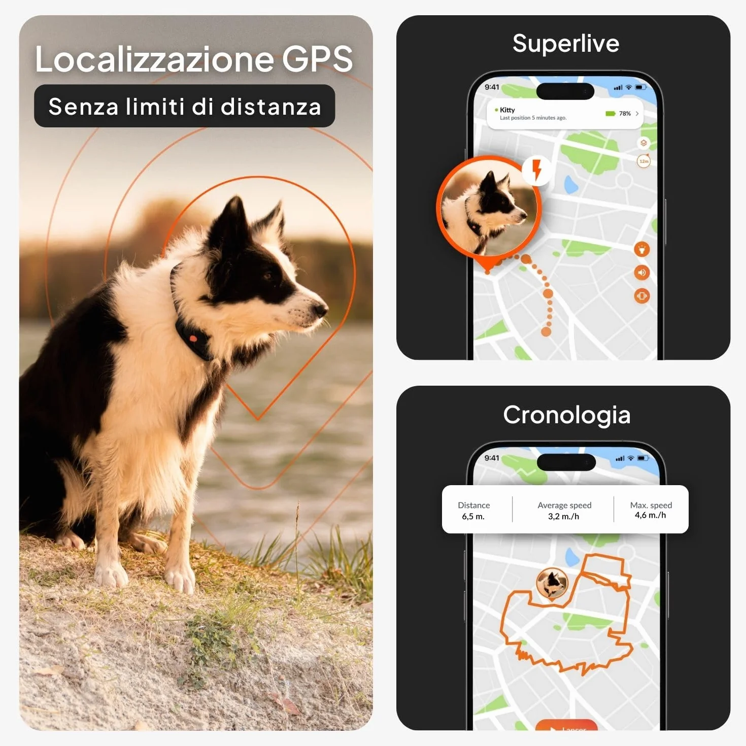 Weenect Cane XT - Localizzatore GPS per Cani Senza Collare | Impermeabile | Antenna XL | Portata Illimitata | Garanzia a Vita | Abbonamento Necessario