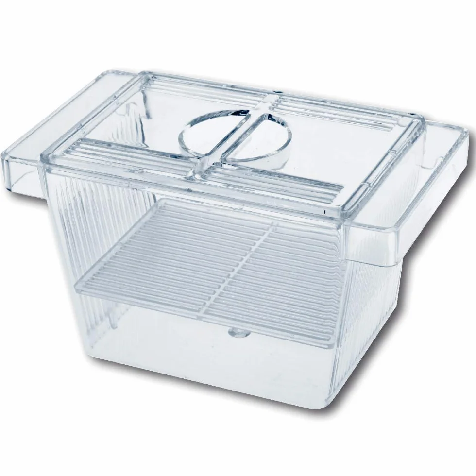 Amtra Sala parto acquario 3 in 1 con coperchio, galleggiante, trasparente, 12x6x6 CM