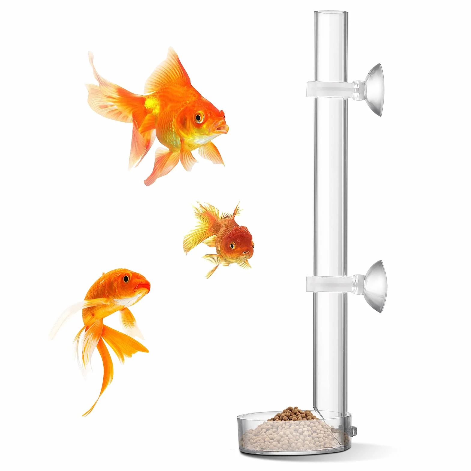 cobee Mangiatoia per Gamberetti in Acrilico, Mangiatoia per Gamberi per Pesci d'Acquario Trasparente Durevole, Tubo per Alimentazione per Gamberetti Assemblato - Tubo da 20 cm e Ciotola da 6,5 cm