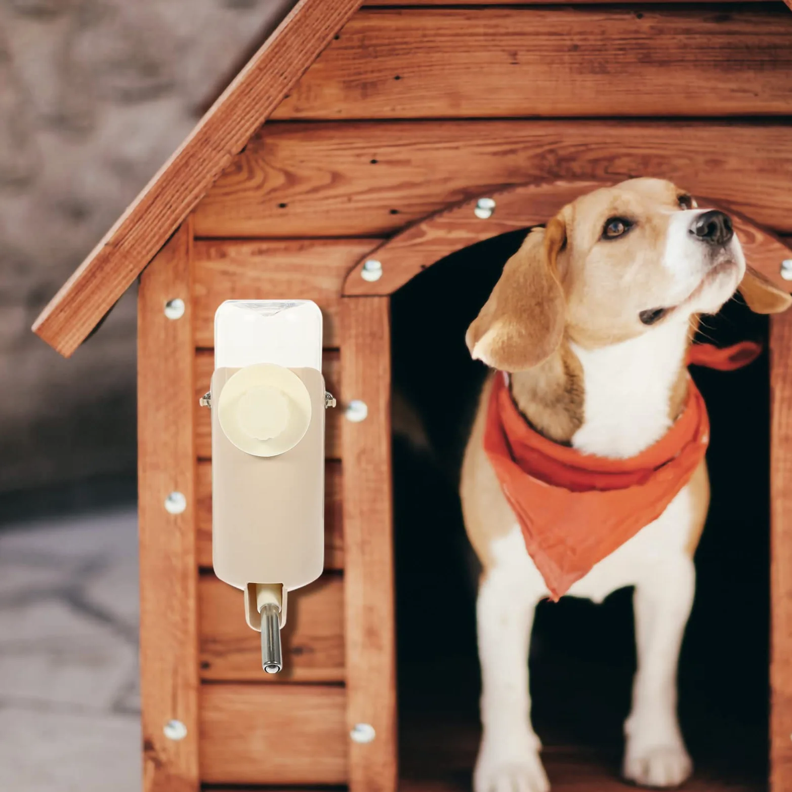 Housoutil 2pezzi Dispenser Automatico Per Criceti e Conigli Borraccia Per Animali Domestici Design Portatile e Antigoccia Facile Da Pulire e Ricaricare Adatta Per Gabbie Di Piccole