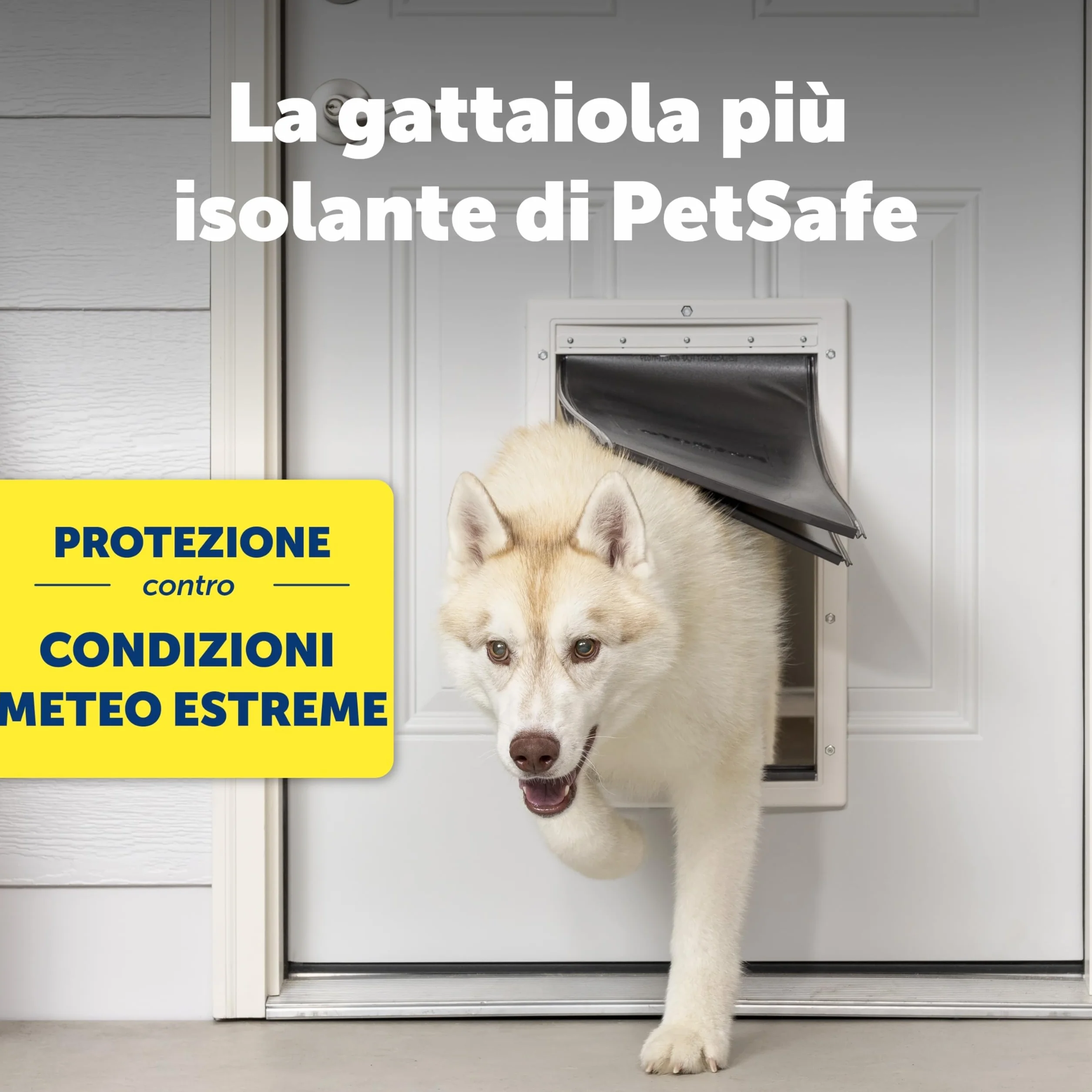 PetSafe Gattaiola per Condizioni Meteo Estreme in Plastica ad Alta Efficienza Energetica per Cani e Gatti - Sistema Flap Isolato - Telaio Resistente, Media (M)