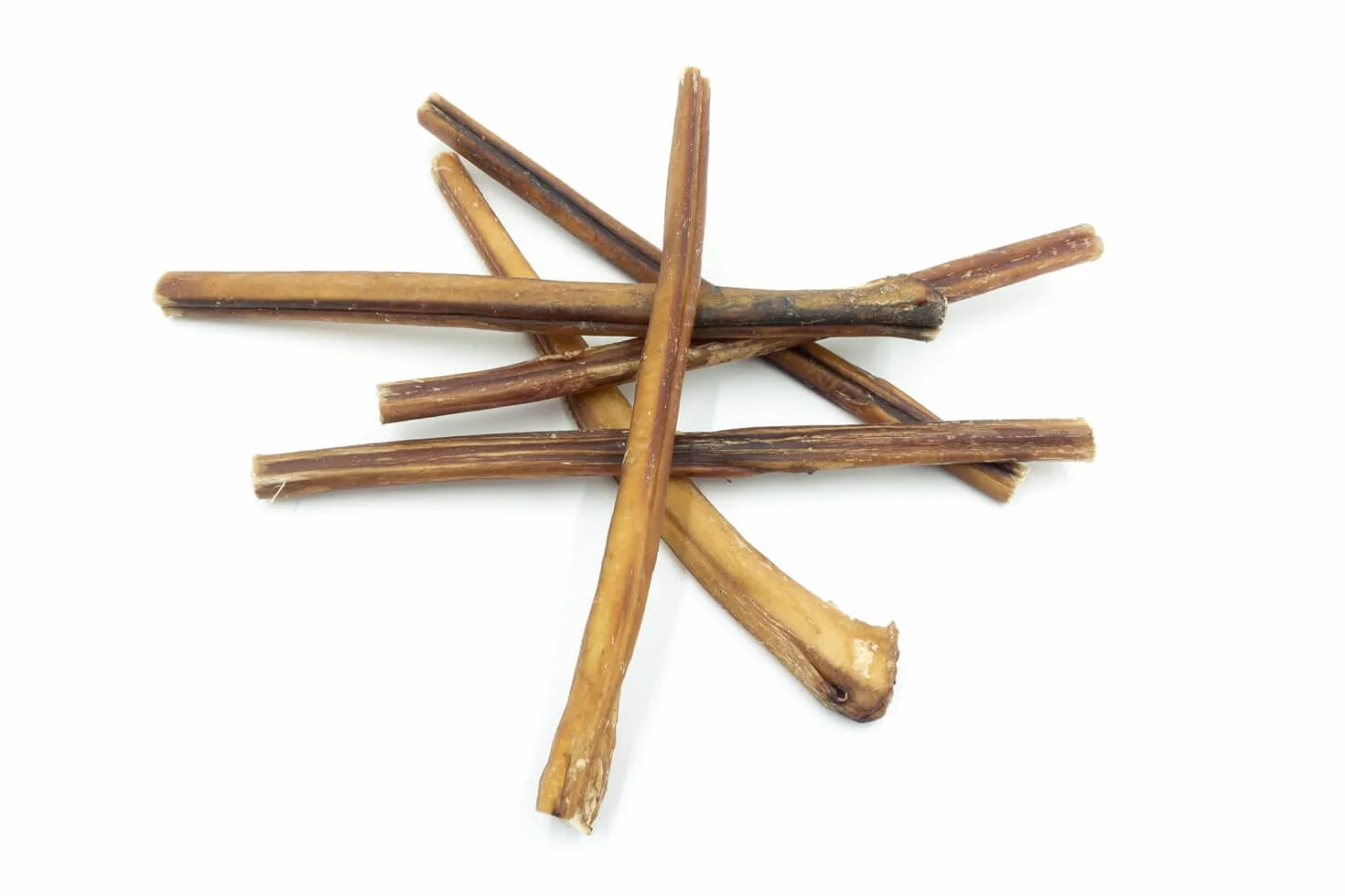 Bastoncino per Cane da 30 cm L - Nervo di Bue per Cani Essiccato, 100% Naturale, 3 Pezzi