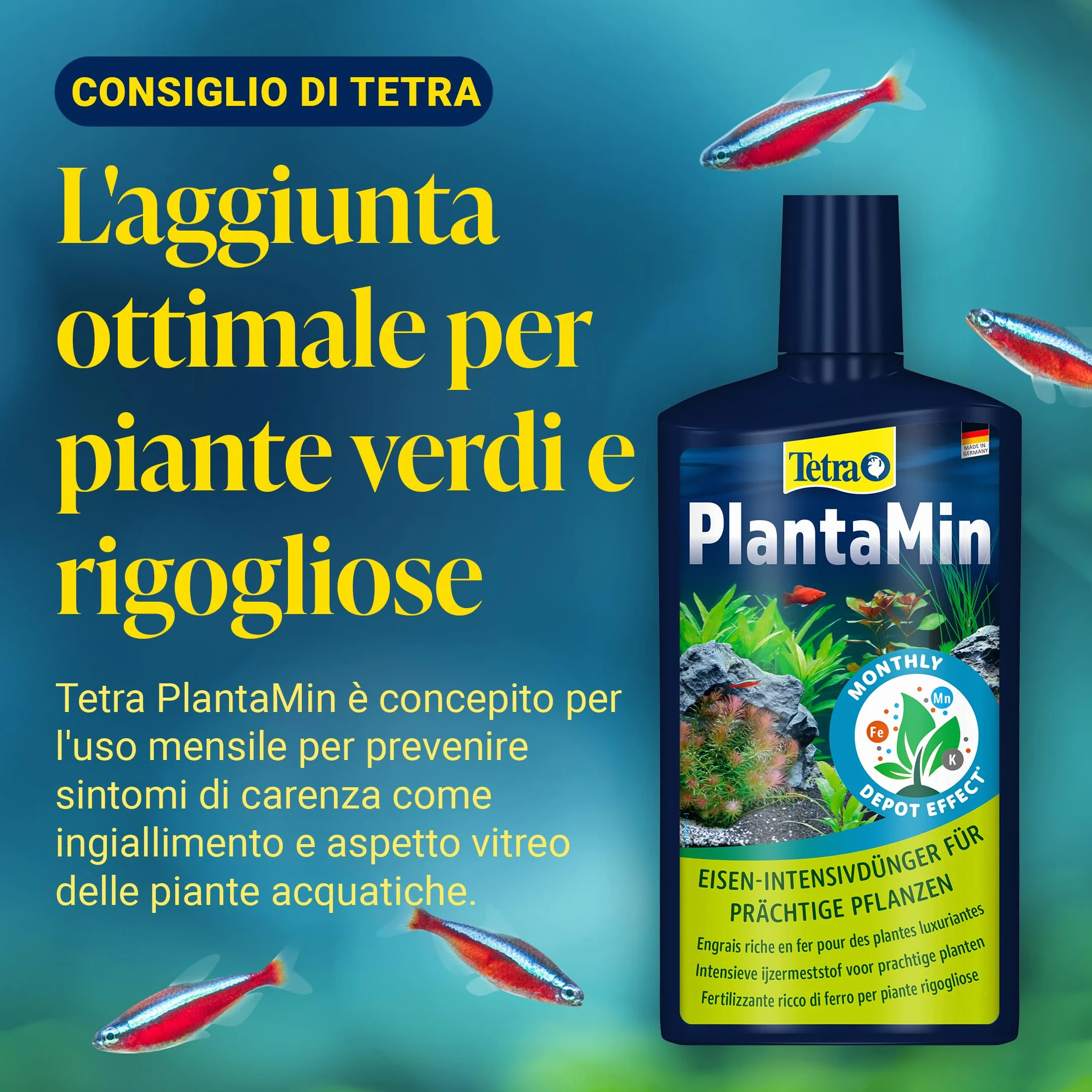 Tetra Complete Substrate 5 kg substrato nutriente per acquario