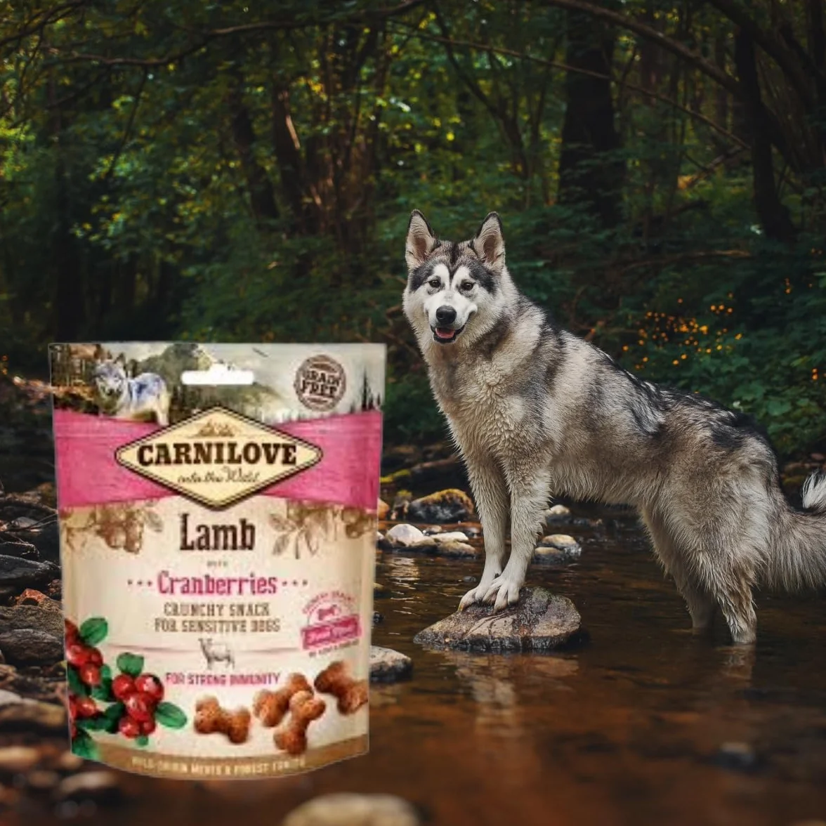 Carnilove Snack Semiumido 200 gr Agnello e Mirtilli