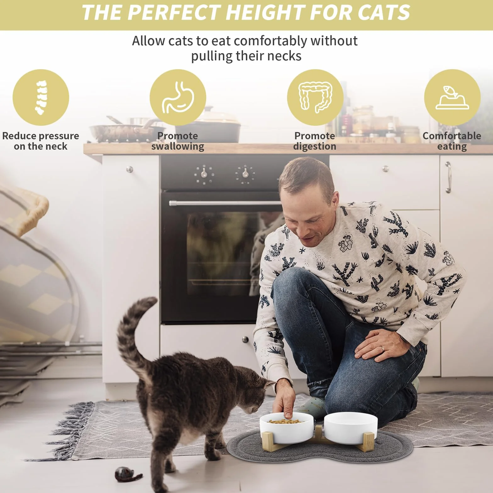 Ciotole per Gatti, Ciotola Ceramica Gatto con Staffa 400ML, Distributore per cibo con 2 Ciotole, Adatto a Gatti di Tutte le Dimensioni e Cuccioli (Bianco)