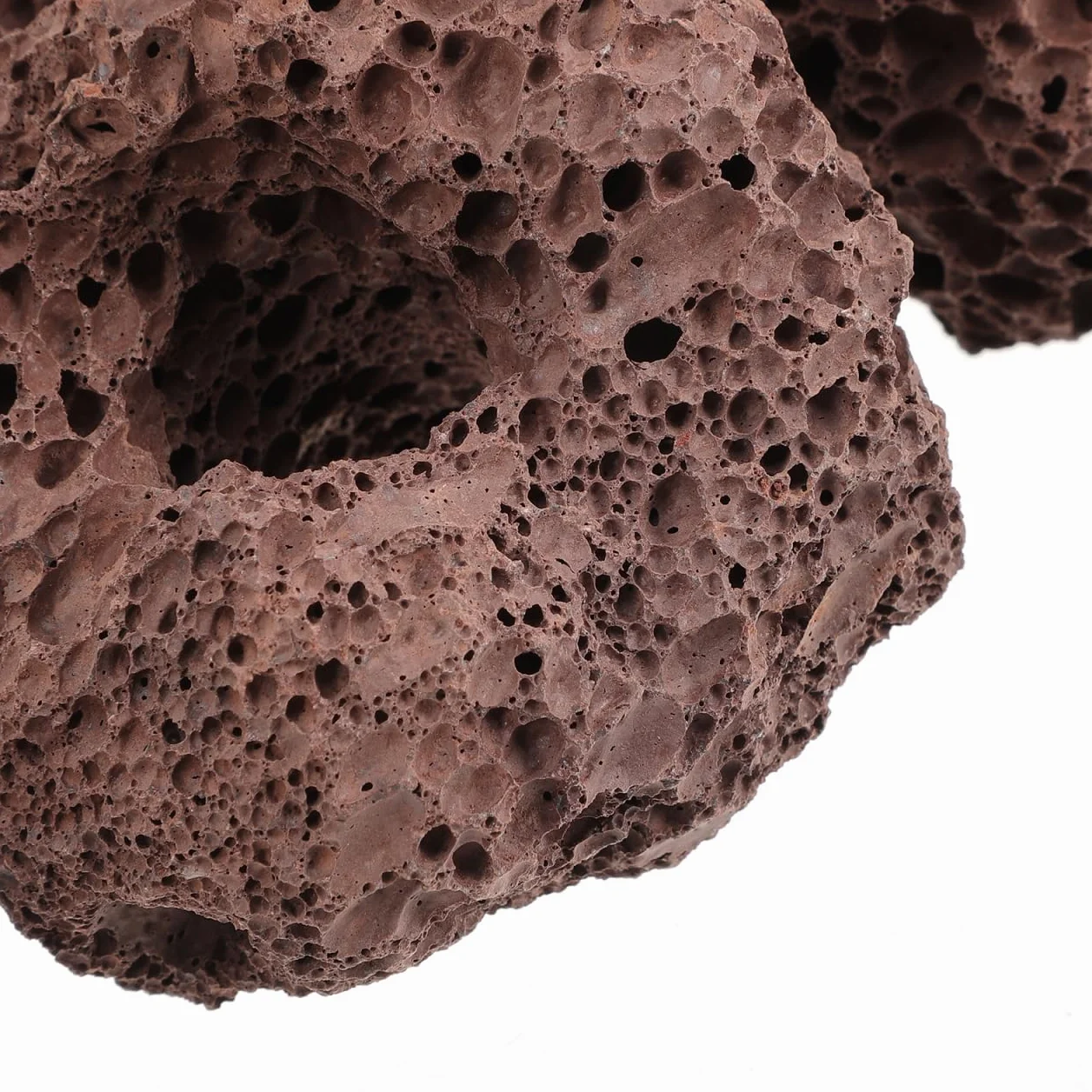 Happyyami Rocce Vulcaniche Naturali per Acquario 6 Pezzi Supporto Fisso per Piante Acquatiche Decorazioni di Pietra Lavica per Serbatoio Pesci E Gamberetti Ornamenti Acquario