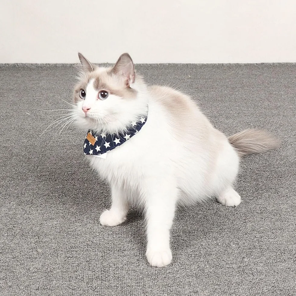 Bandana per Gatto con Motivo Stelle Sciarpa Triangolare Cucciolo Collare Regolabile Bavaglino