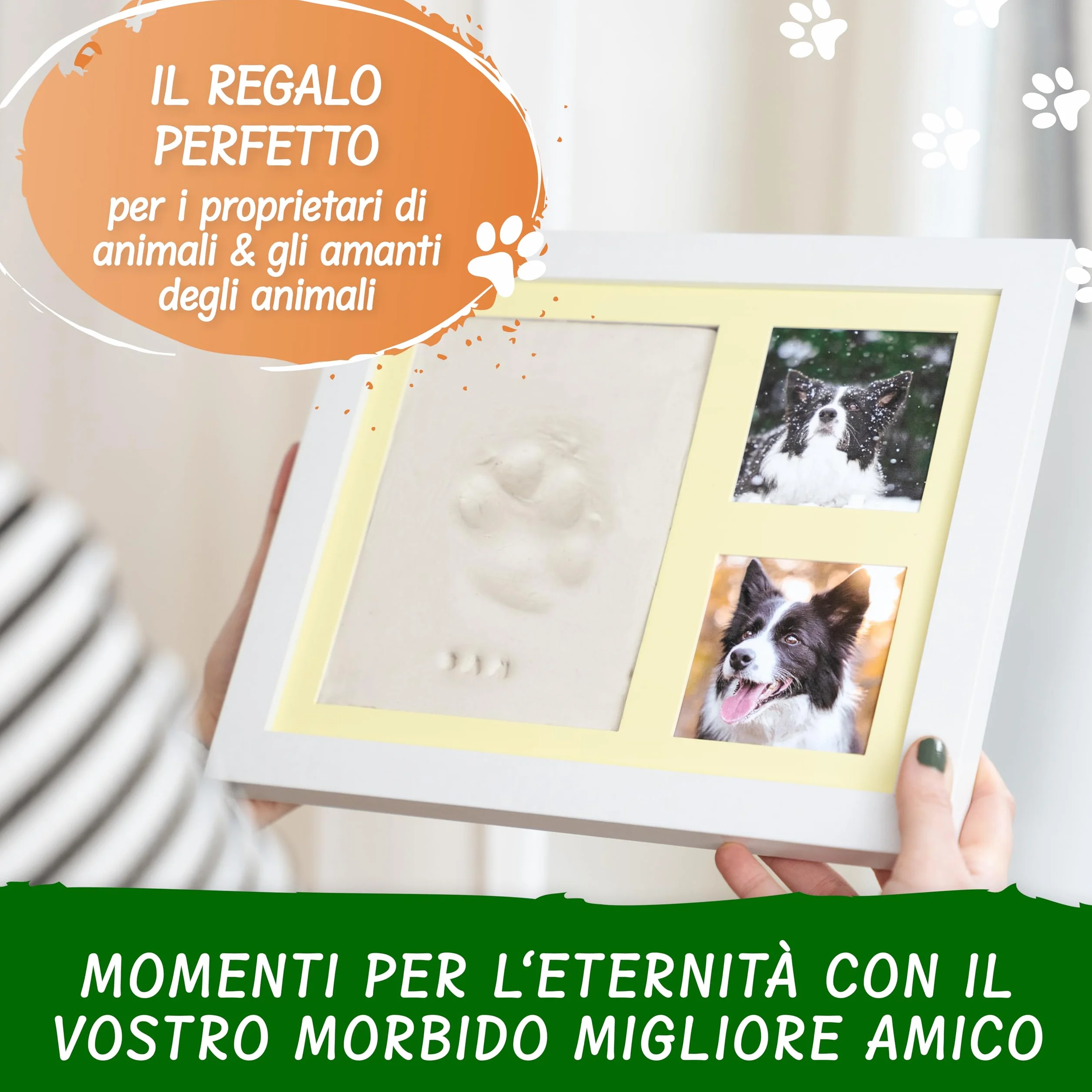 Amari Mari Set di Impronte di Zampe per Animali con Lettere, Numeri e Cornici per Cani