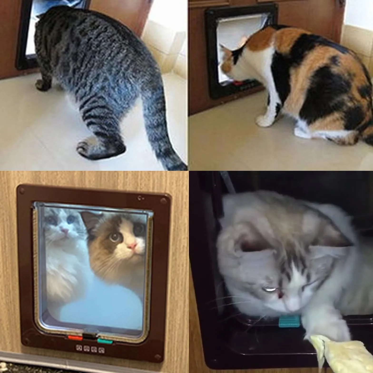 Porta Schermo per Animali Domestici Gattaiola per Gatti Porta Scorrevole Marrone