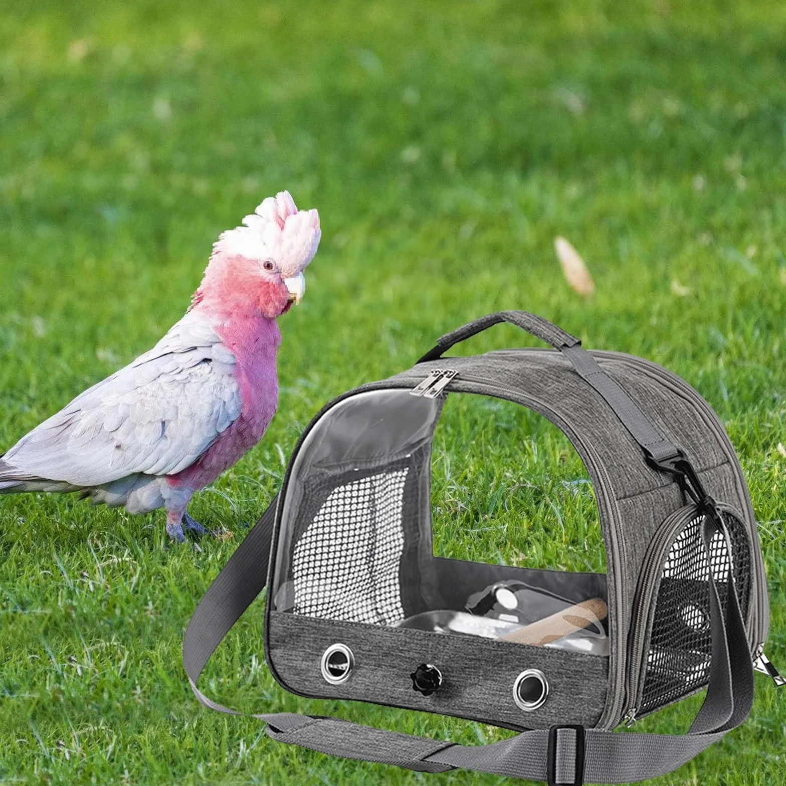 Asfrode Borsa per il trasporto con asta e vassoio in acciaio inox, leggera, per il trasporto di uccelli, per pappagalli, pappagalli, parrocchetti