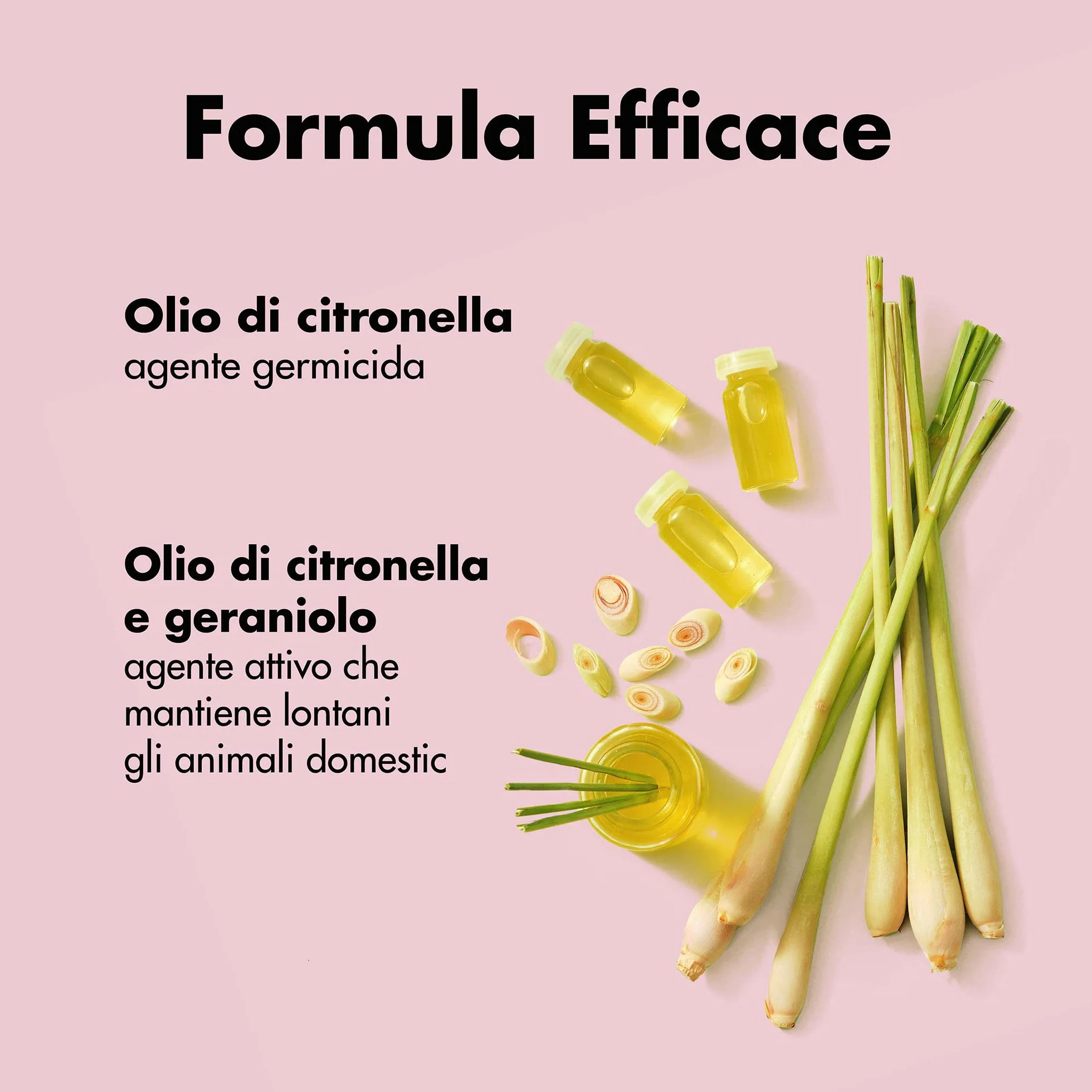 Belly Spray Disabituante per Cani da Interno - Disabituante per Cani da Esterno - Dissuasore per Pipi Cani, per Tutte Le Superfici - Elimina Odori Pipi Cane - Spray Disabituante Cani Educativo, 250ml
