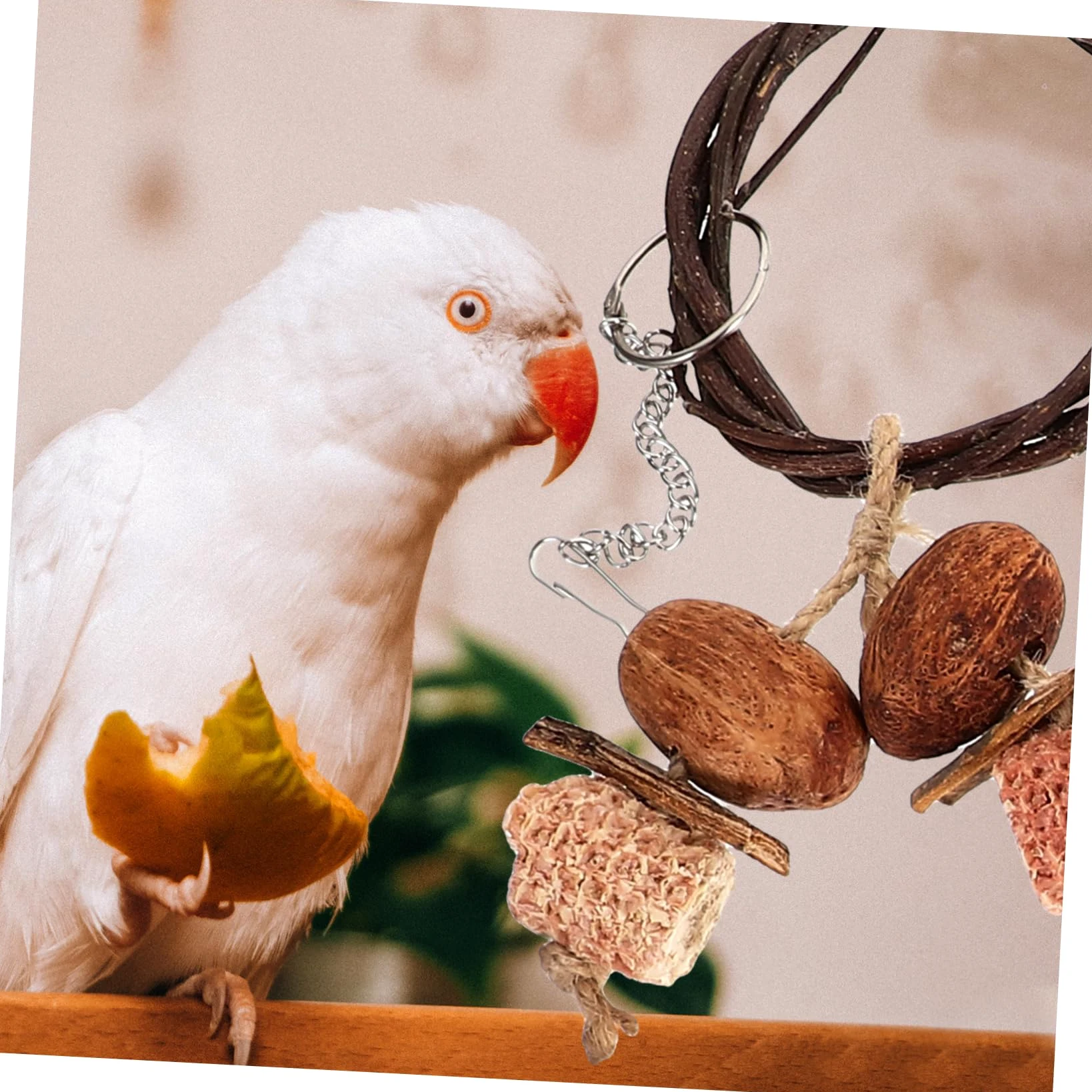 Giochi per Pappagalli da Appendere Resistente per Pappagalli e Calopsitte Giocattoli da Masticare e Altalena per Uccelli Adatto Tutte Specie Facile da Installare