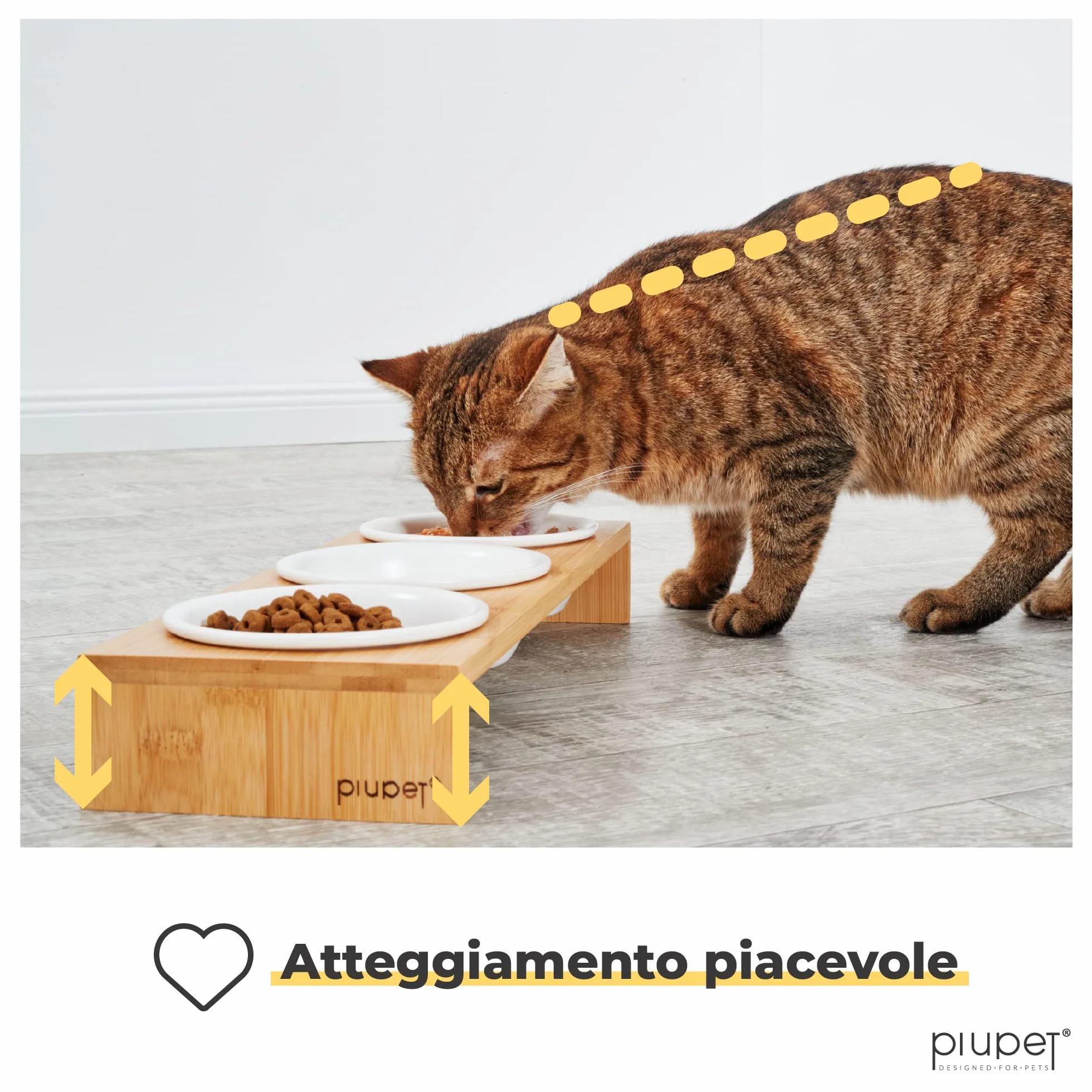 PiuPet® 3er Ciotola per Gatti I 250ml I Lavabile in lavastoviglie I Ciotole per Gatti Rialzate I Ciotole Ceramica I Ciotola per Cani Piccoli I Cestello con 3 ciotole