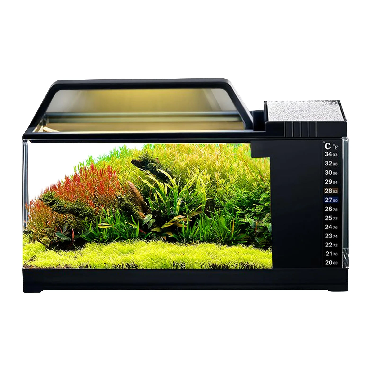 Desktop Aquarium Set - Mini serbatoio di pesce, di filtro per l'acqua avanzato | Acquario illuminato a LED, decorazione acquatica elegante compatta con operazioni silenziose per soggiorno