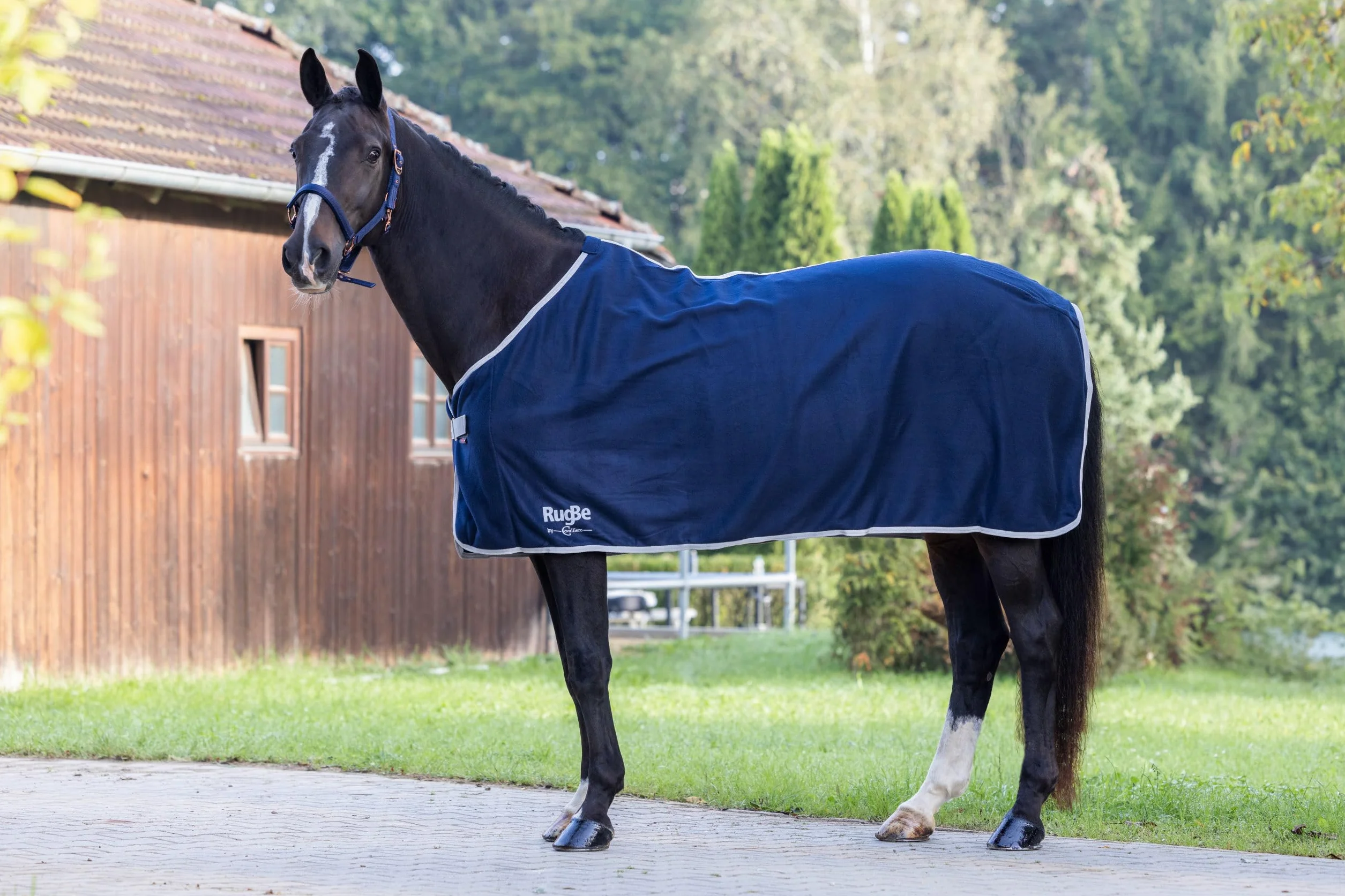 Covalliero Coperta in pile RugBe Economic navy, 115 cm